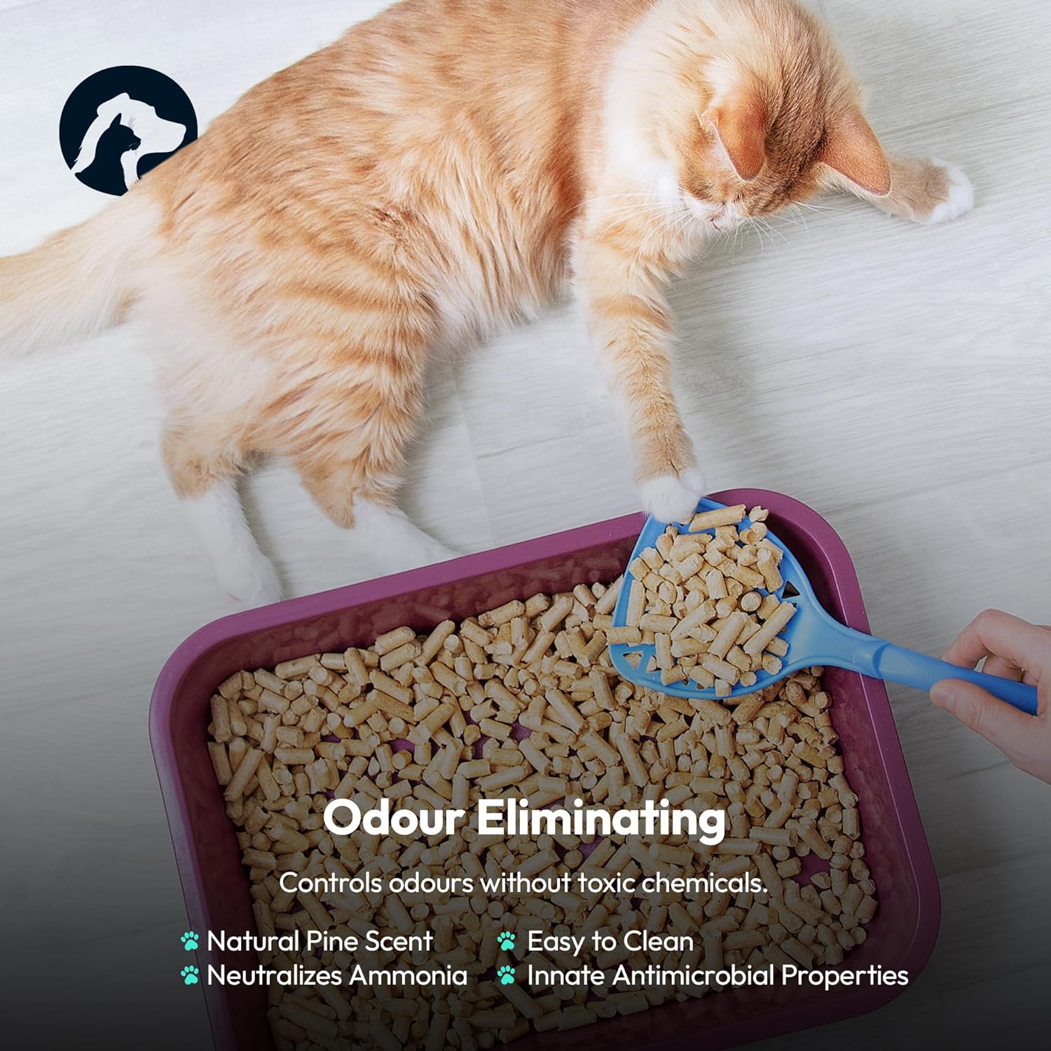 Oscars Cat Litter 30L - Ultra-Absorbent Wood Pellet Cat Litter - Non-Clumping, Dust-Free, Odour Control Wood Pellets for Cats & Kittens - Biodegradable, All Natural Virgin Softwood - 5