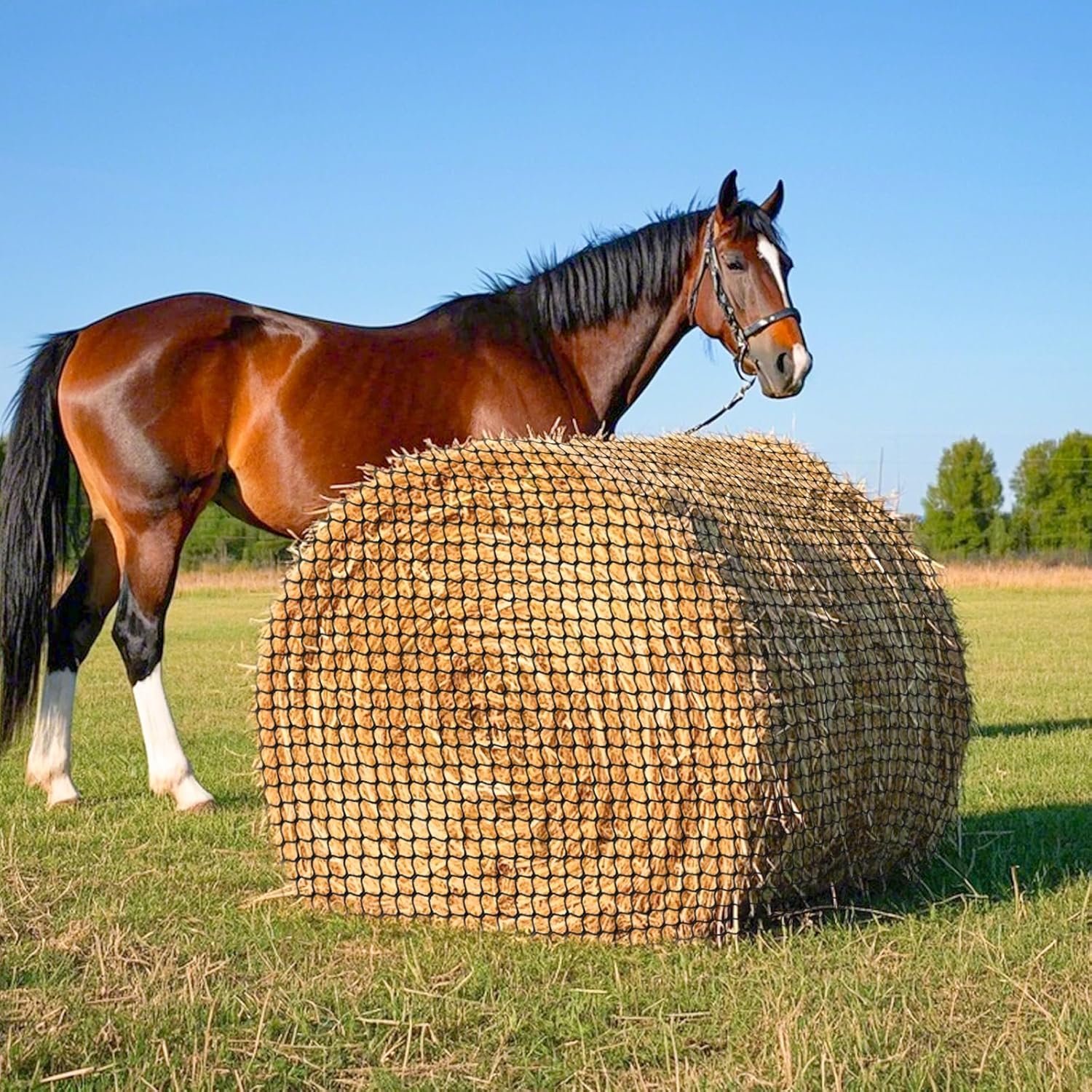 5×5 Ft Round Bale Hay Net, Slow Feed Hay Nets for Horses Promote Healthy Digestion, Outdoors Round Bale Hay Net for Horses, Goats and More Livestock, Nylon Knotless Hay Mesh Bag with 1.5 Inch Holes