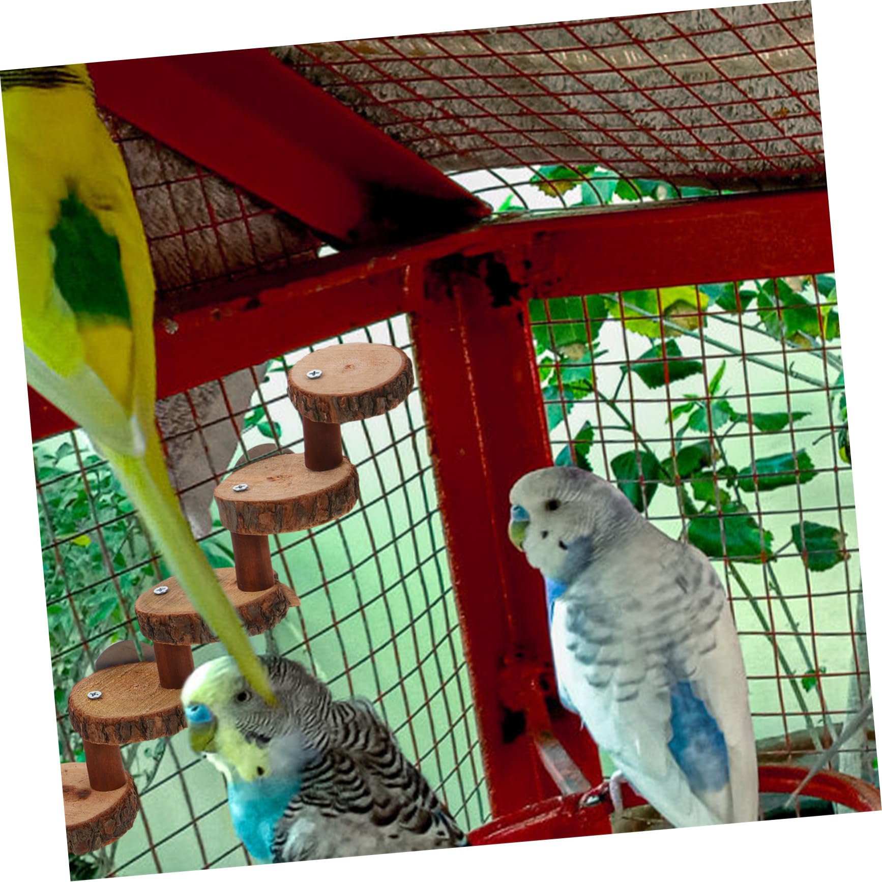 BESPORTBLE Versatile Parrot Ladder Toy Wooden Climbing Step for Hamsters Bird Training Toy
