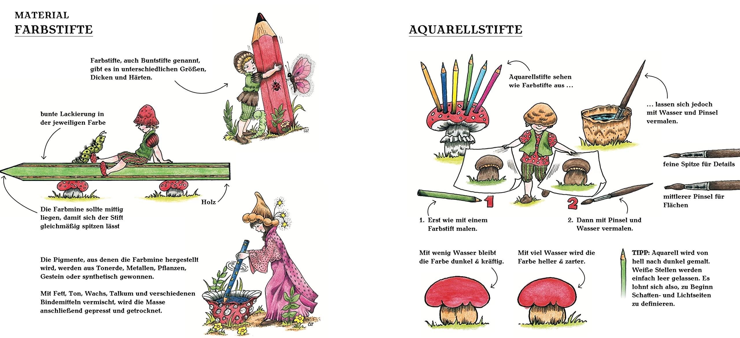 Christl Vogls Ausmalreise - Der verwunschene Wald: Ausmalen & träumen