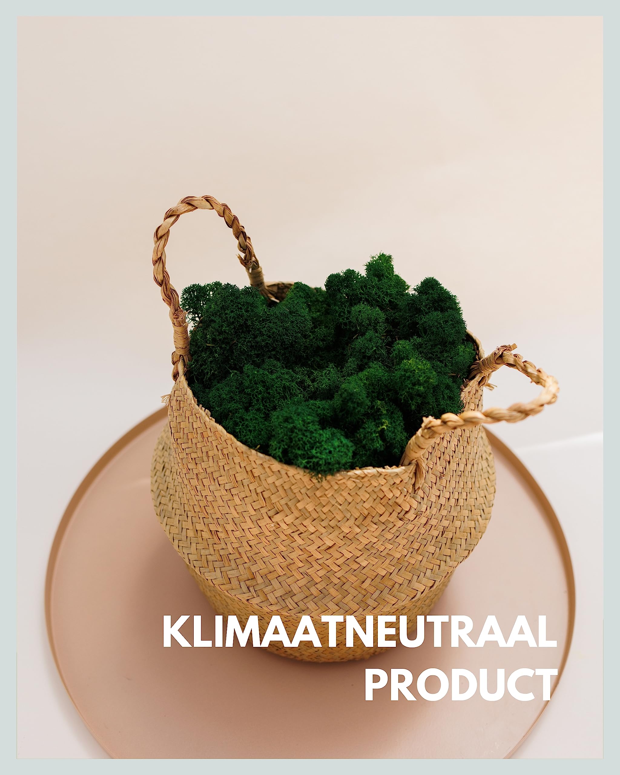 thumbnail: Mia Milano IJslands Bolmos - Gedroogd Decoratief Mos Voor Knutselen En Interieur (1 Kg, Donkergroen)