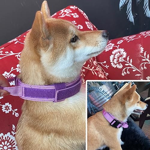 Miniatura 7 de Xqpetlihai - Collar de perro táctico militar de nailon ajustable, hebilla de metal resistente con asa para entrenamiento de perros (morado, L)