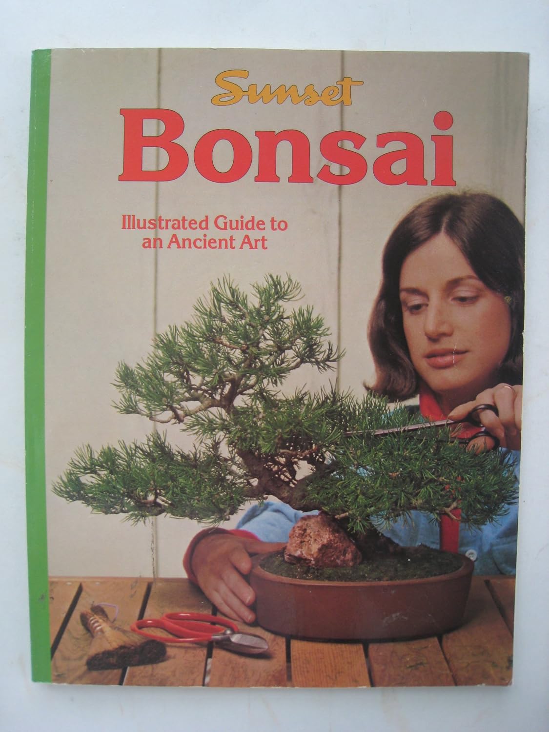 Bonsai Identifier Owen, Gordon 9781573352956 Books