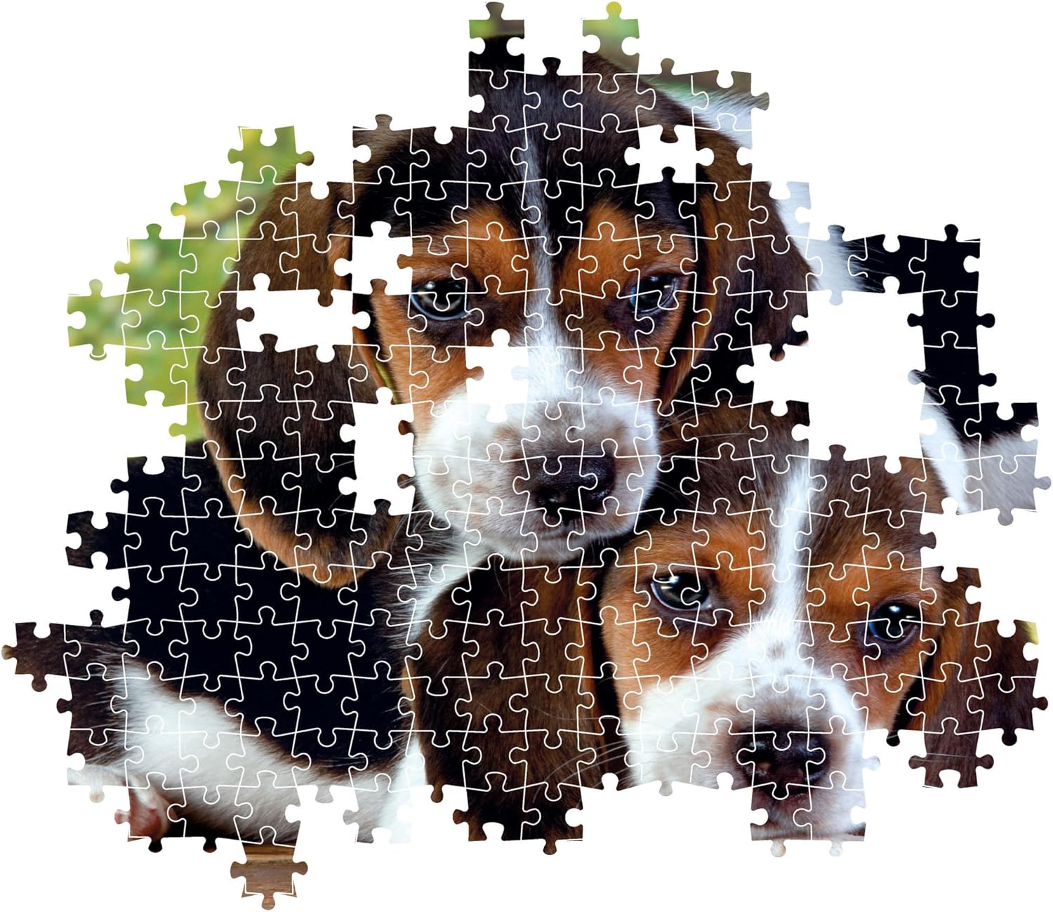 Clementoni 35536 Jigsaw Collection-Close Together 500 Pieces-Poster Included, Puzzle for Adults 14-99 Years, Gift for Men/Women, Animals, Beagle, Made in Italy, Multicolor