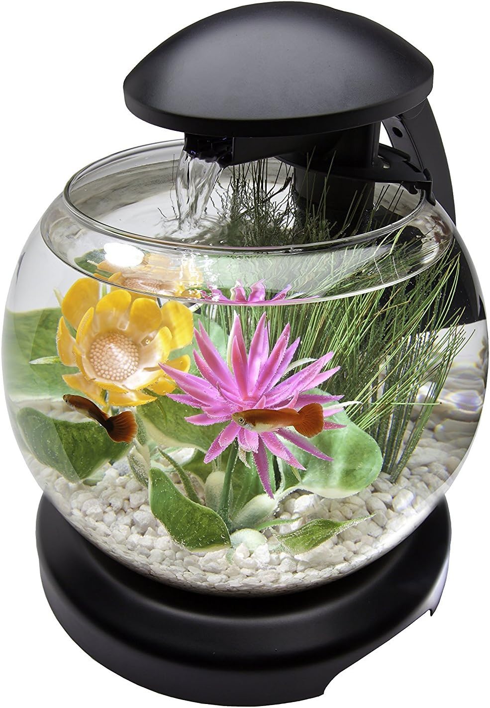 Tetra Waterfall Globe Kit 1.8 Gallons, Aquarium With Filtration