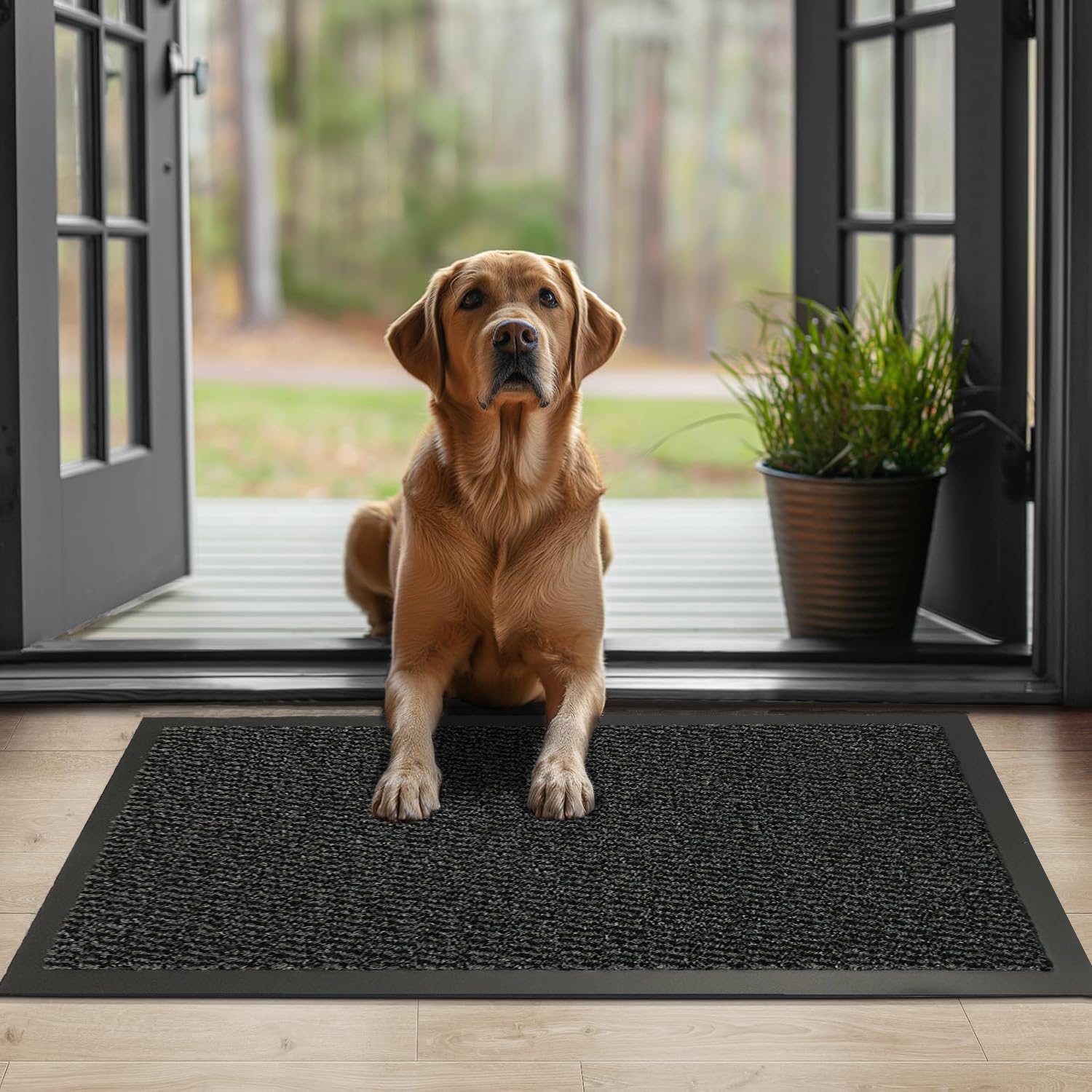 Muddy Mats 80cm x 60cm Large Front Door Mat - Dog Mat- Non Slip Washable thin Indoor Mats, Dog food,Crate Mat- Rubber Backed Dirt Trapper door mats indoor for Muddy Paw