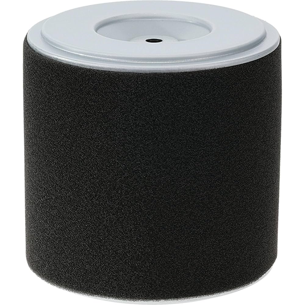 Amazon.com : Stens 100-901 Air Filter Combo Compatible with