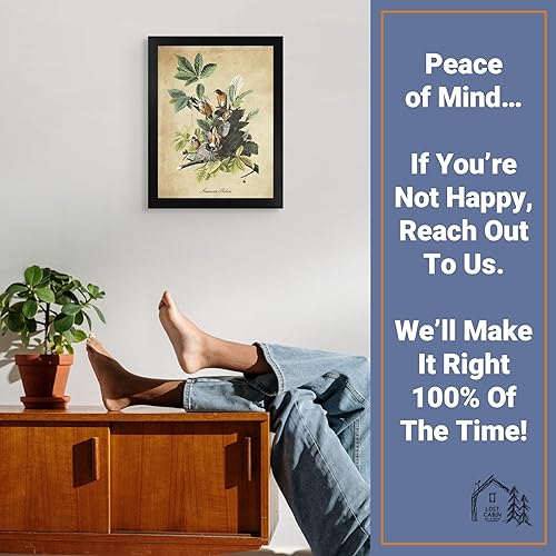 Vista 194 de Towee Bunting by James Audubon - Marco biselado negro de 12 x 16 pulgadas, decoración artística enmarcada para pared, reproducción de pinturas