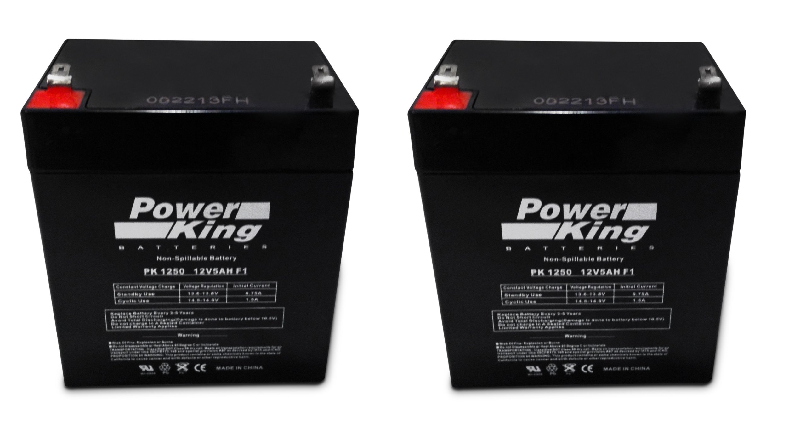Beiter DC Power Pulse Charger Scooter Replacement Batteries