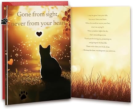 Cat Loss Sympathy Card Gone from Sight, Never from Your Heart Pet Memorial Greeting Card for Cat Owners Includes Envelope & Stickers