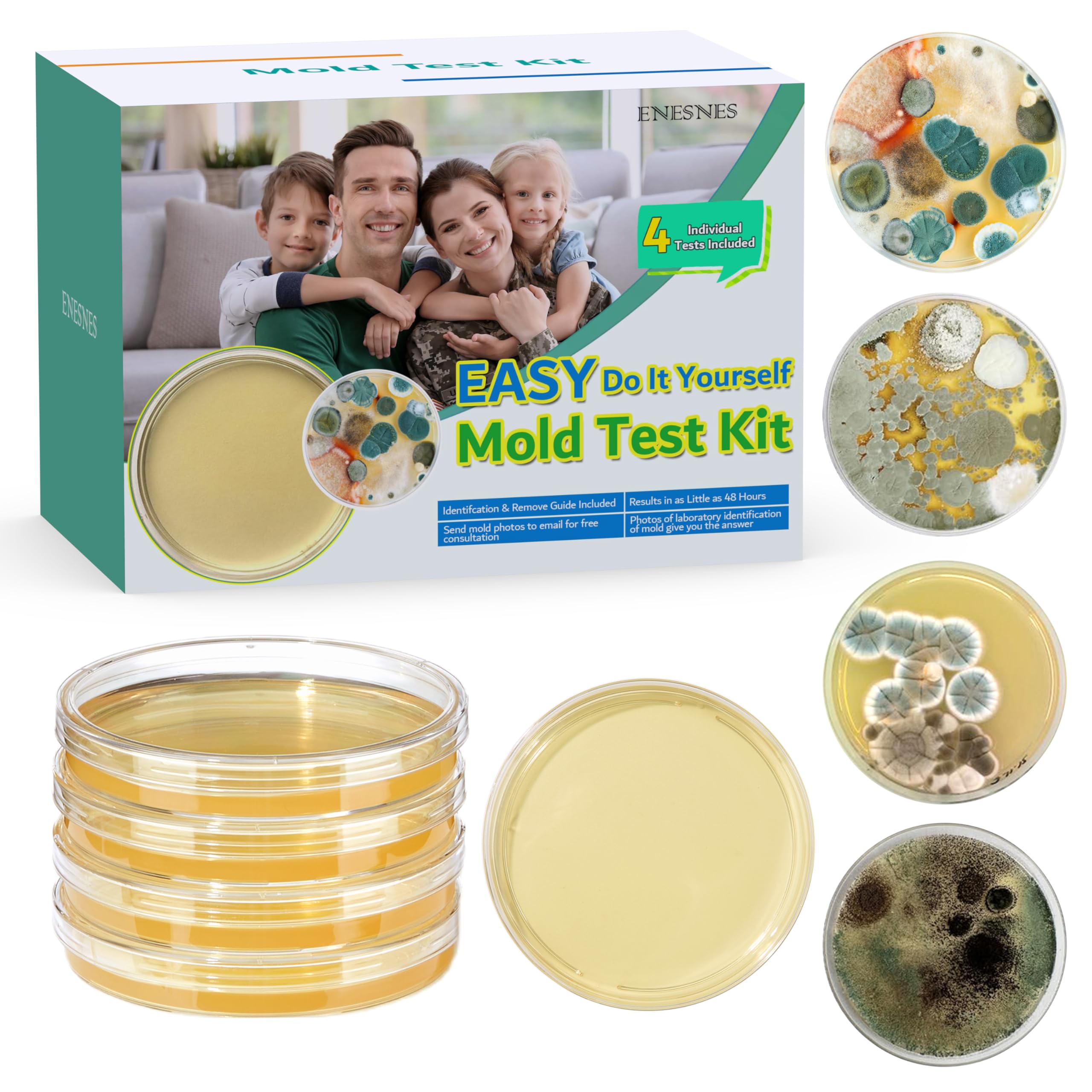 Mold Testing Kit with 4 Individual Tests - DIY Mold Test Kit for Home - Includes Detailed Mold Identification Guide - Fast and Reliable Mold Detector for Home