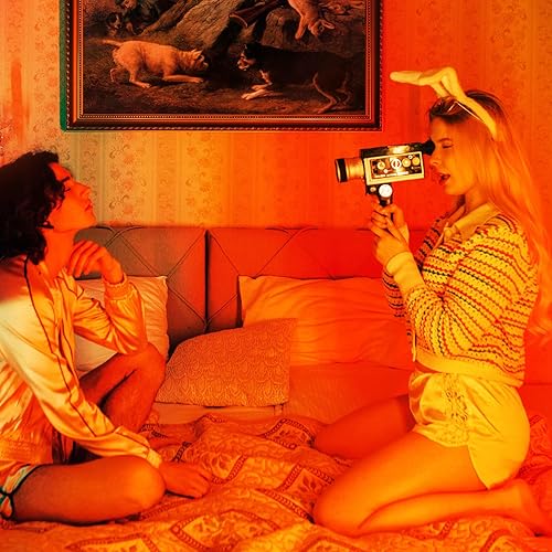 Miniatura 5 de Housoutil Kit de filtro de gel de iluminación flash, 11.8 x 39.4 pulgadas, filtro de luz de gel de corrección de color, película de luz transparente