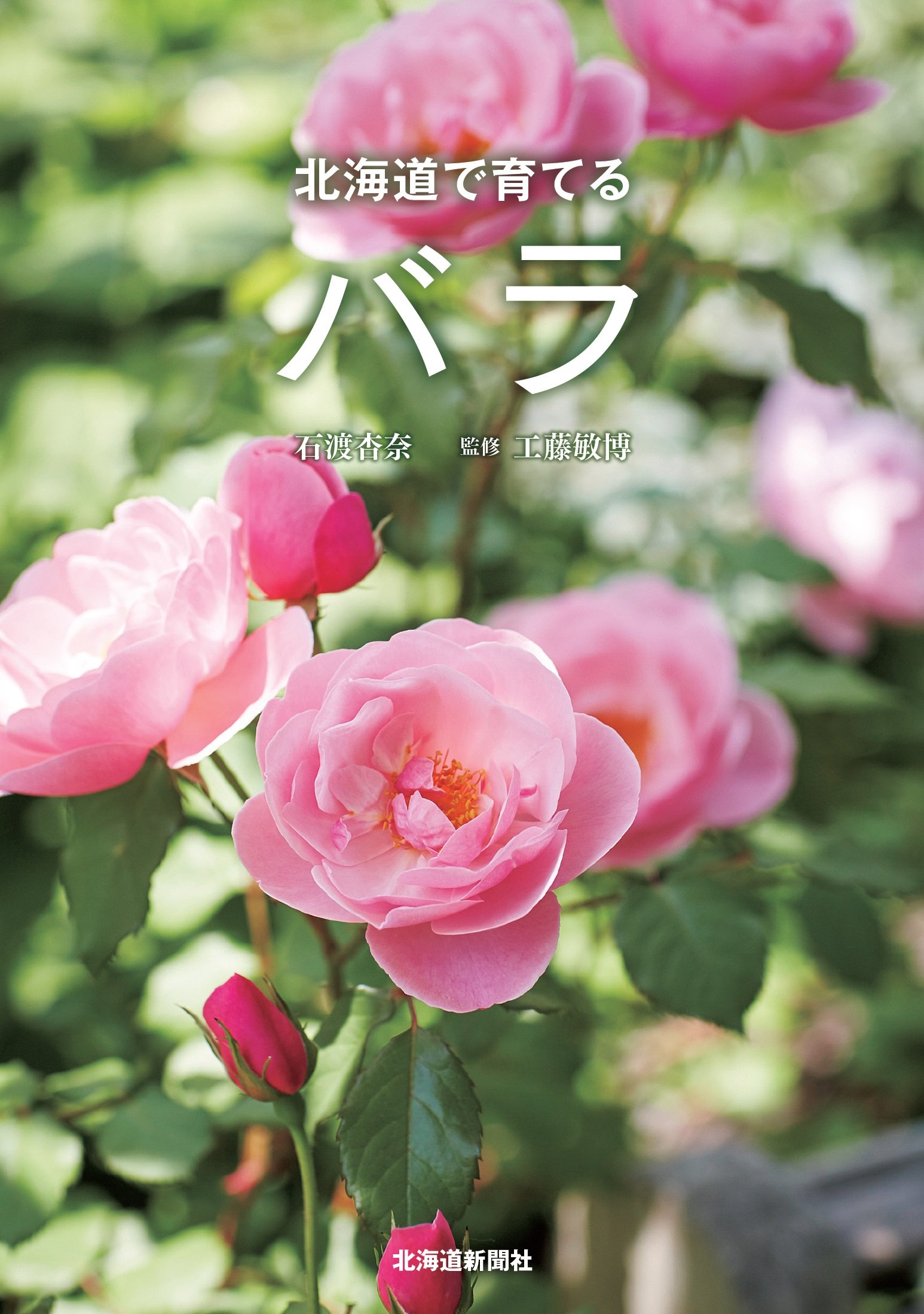 北海道で育てるバラ | 石渡 杏奈, 工藤 敏博 |本 | 通販 | Amazon