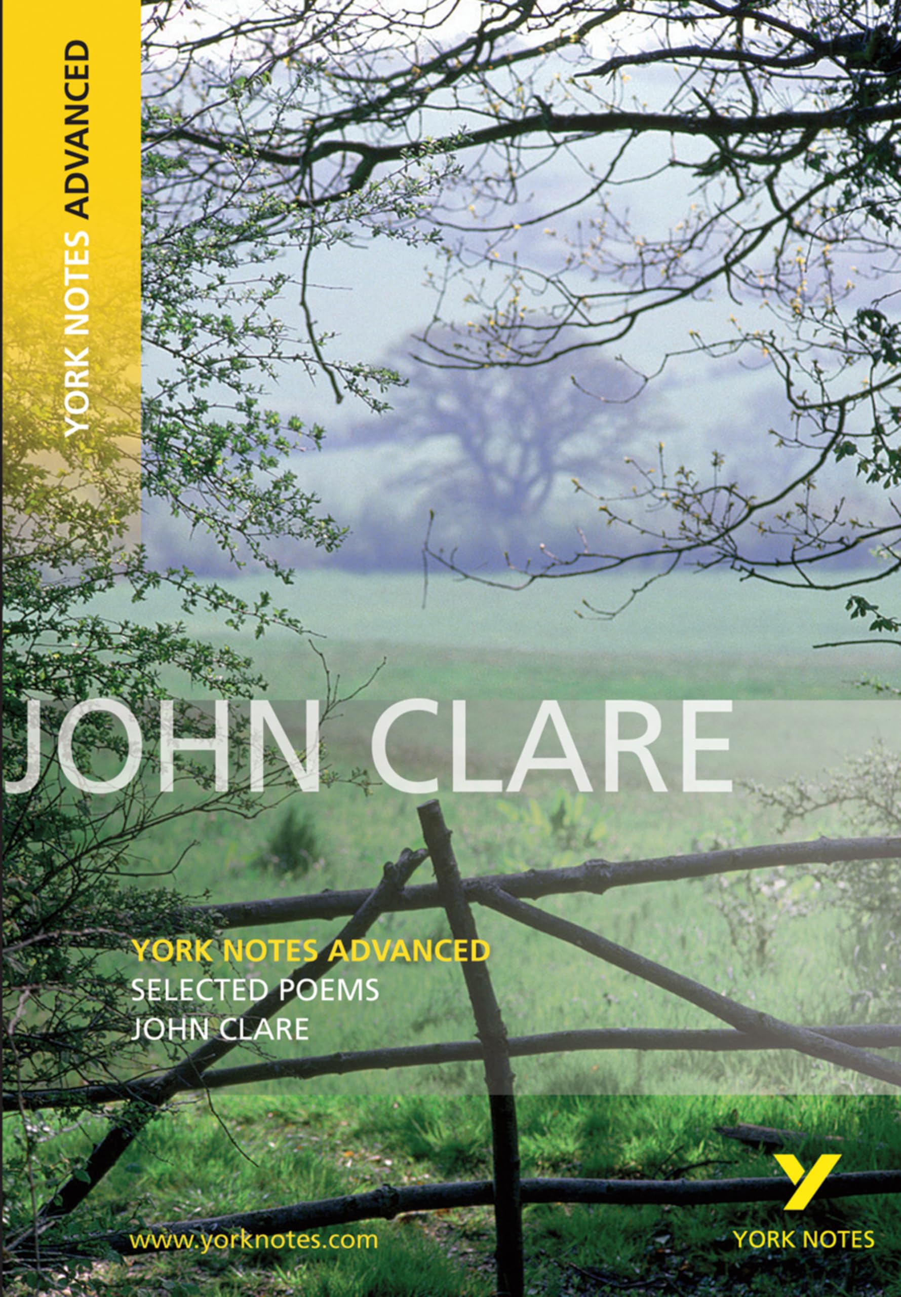 John Clare, Selected Poems (York Notes Advanced) By Mr John Clare