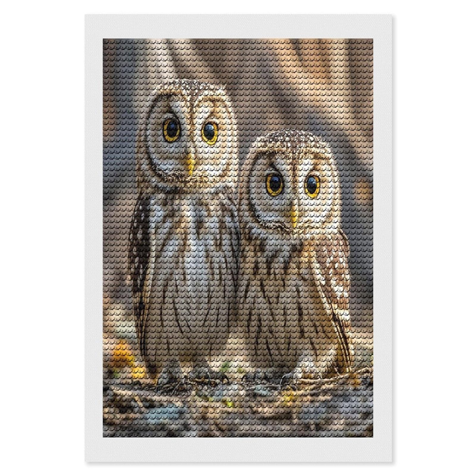FekiLoot Real Cute Owls Diamond Painting Kits for Adults Full Round Drill Diamond Art Kits for Beginners 5D DIY Diamond Dots Paintings Diamonds Pictures Gem Art Home Wall Decor 8"x12"