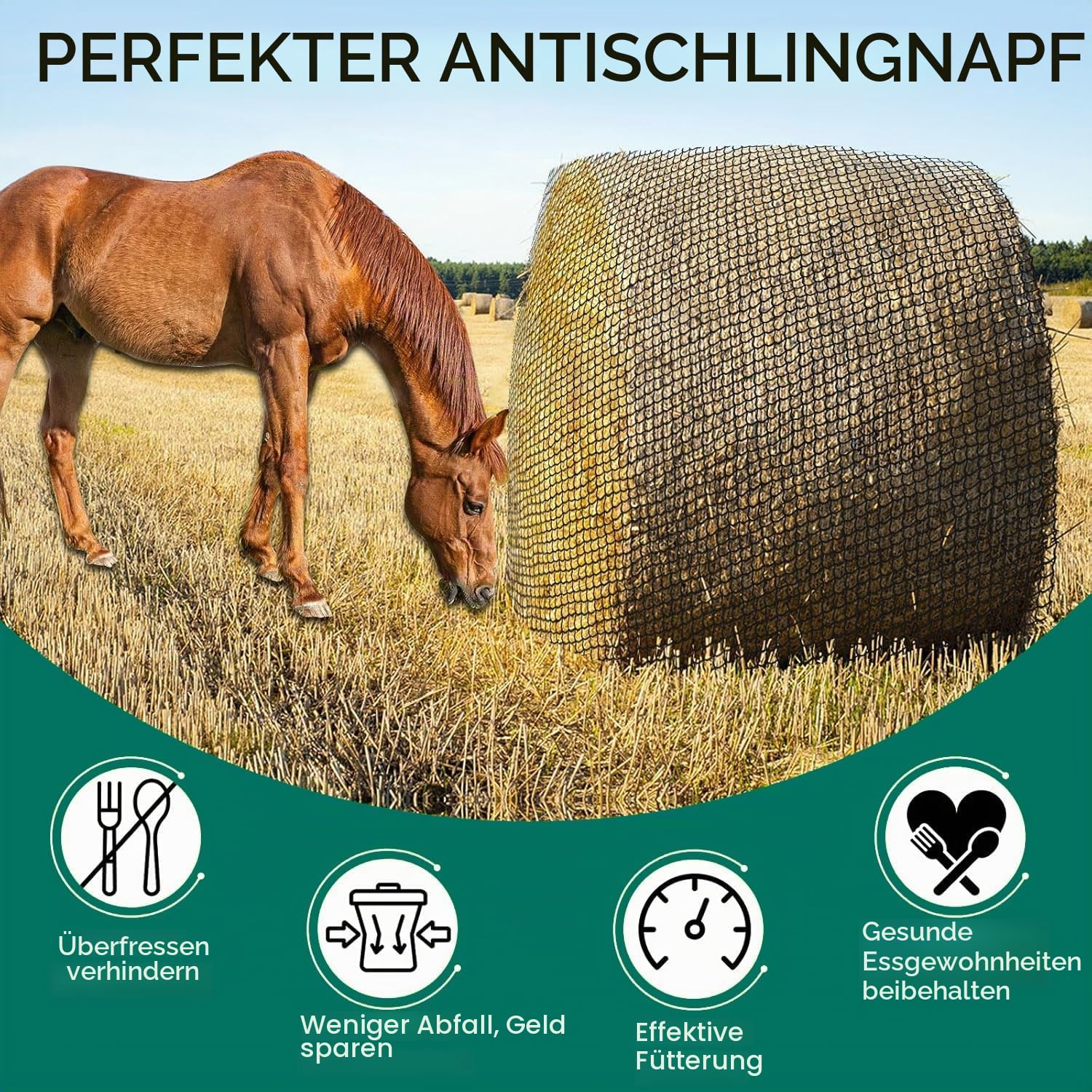 Heunetz für Pferde Groß, Rundballen Heunetz 5'x5' (ca.152x152cm) aus Polyethylen - Großraumheunetz für Pferde, Rinder, Schafe, Lamas, Alpakas
