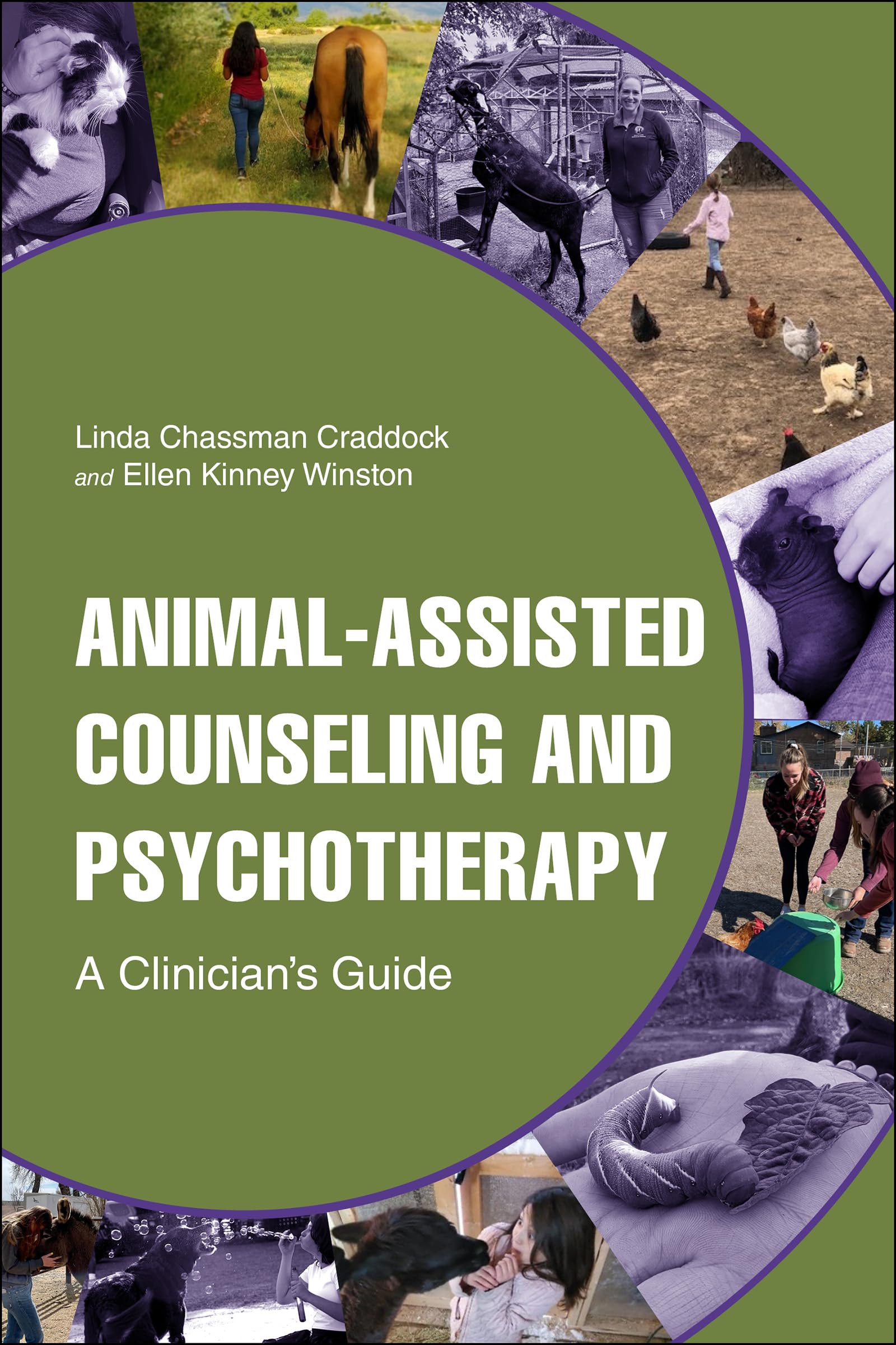 Animal-Assisted Counseling and Psychotherapy: A Clinician's Guide (New Directions in the Human-Animal Bond)