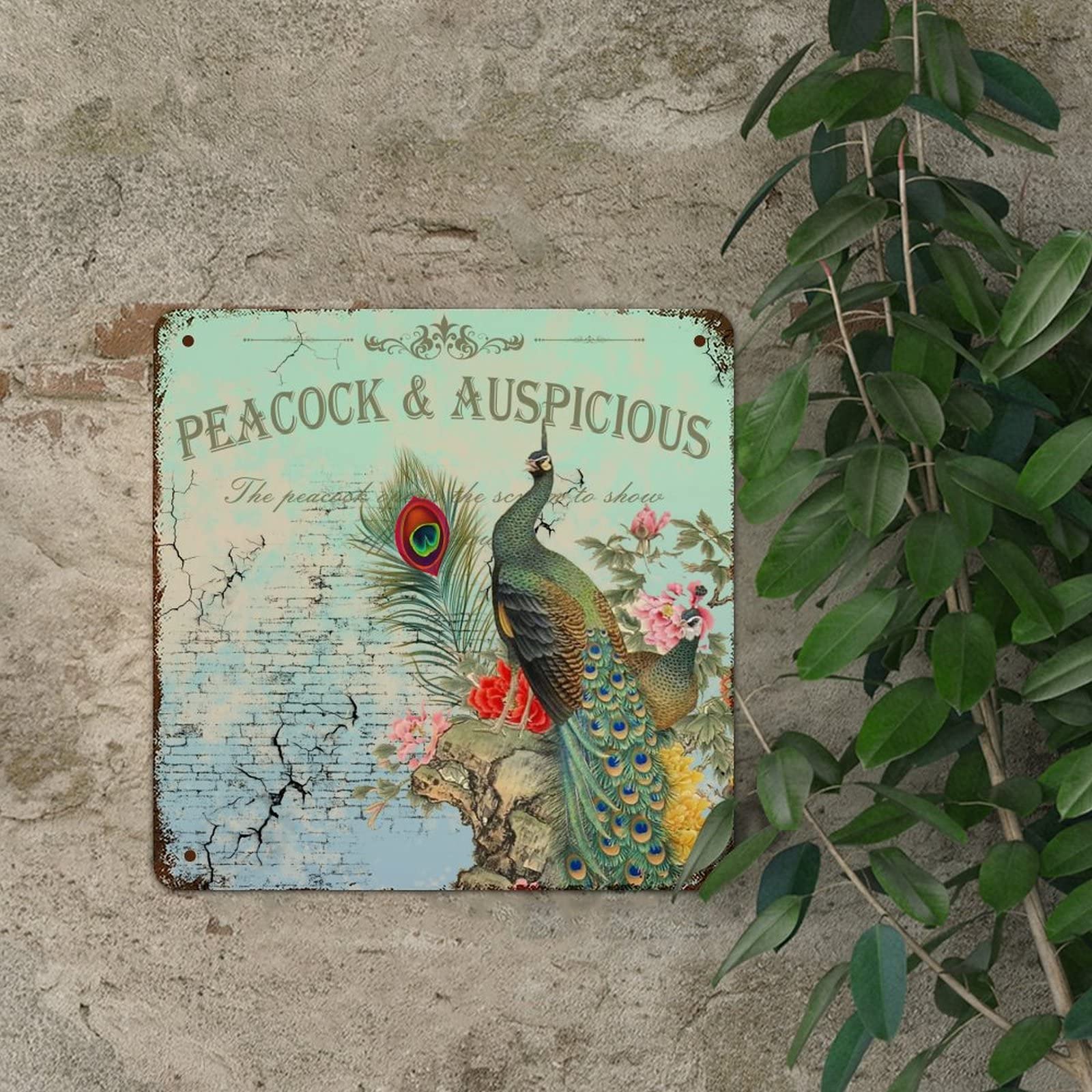 Targa Rotonda In Metallo Con Piume Di Pavone – Decorazione Vintage 30x30 Cm Per Parete - 4