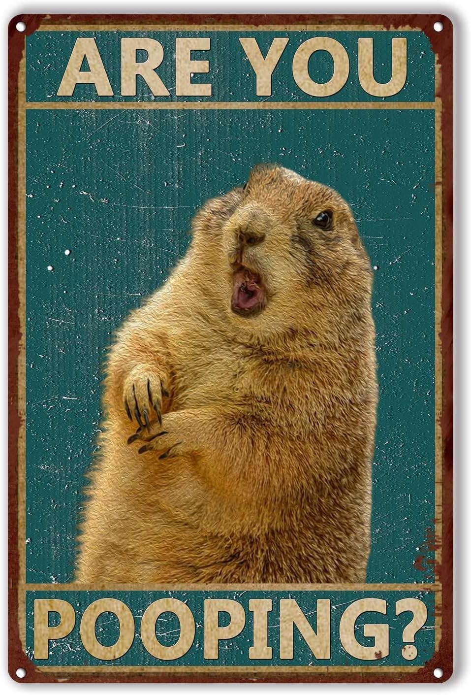 Anceky Groundhog Are You Pooping Tin Sign Restroom Bathroom Wall Decor Bar Decorations Art Poster 8x12 Inch