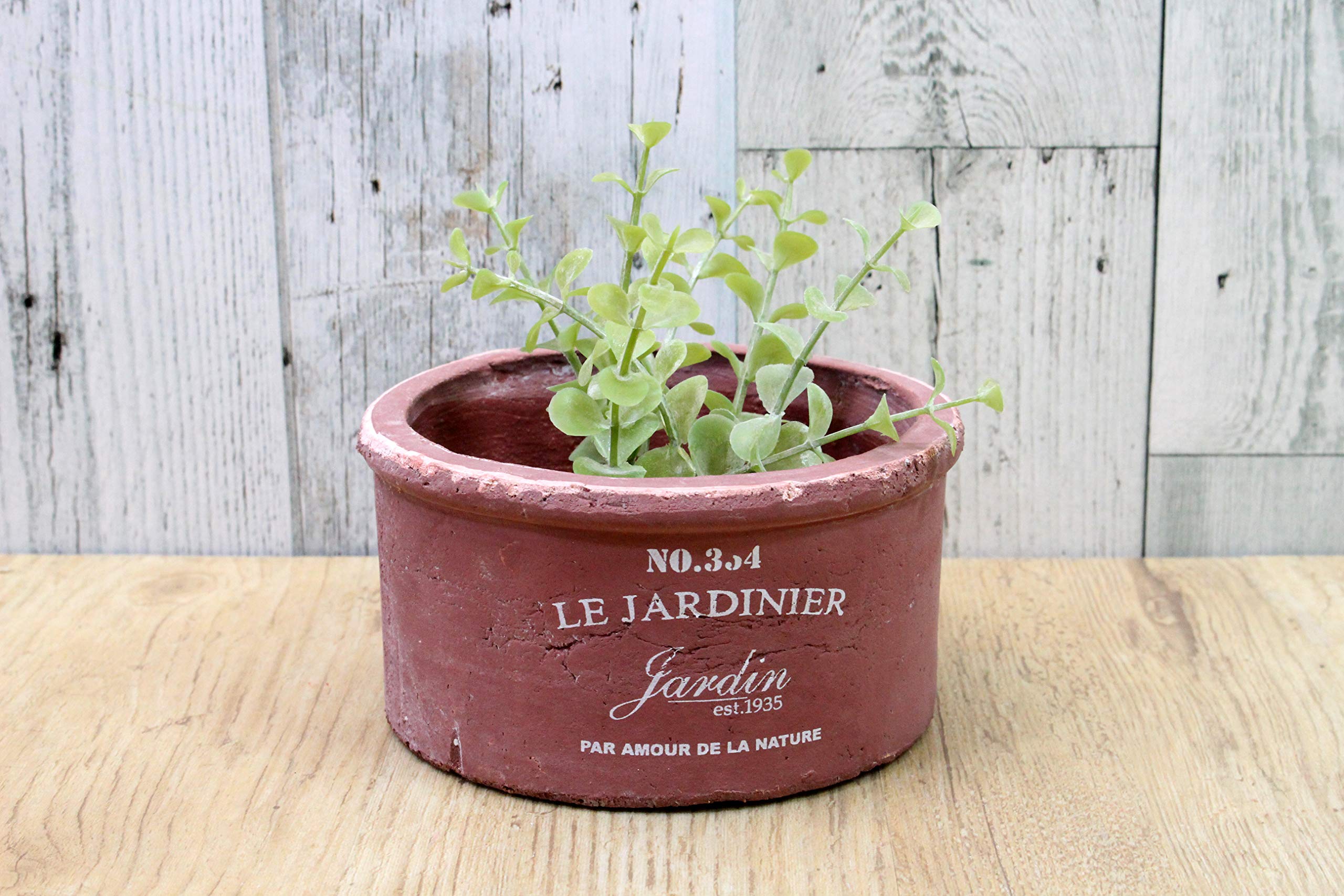 Amazon.co.jp: フラワーベース カラーテラコッタ (寄せ植え) H6.5×直径