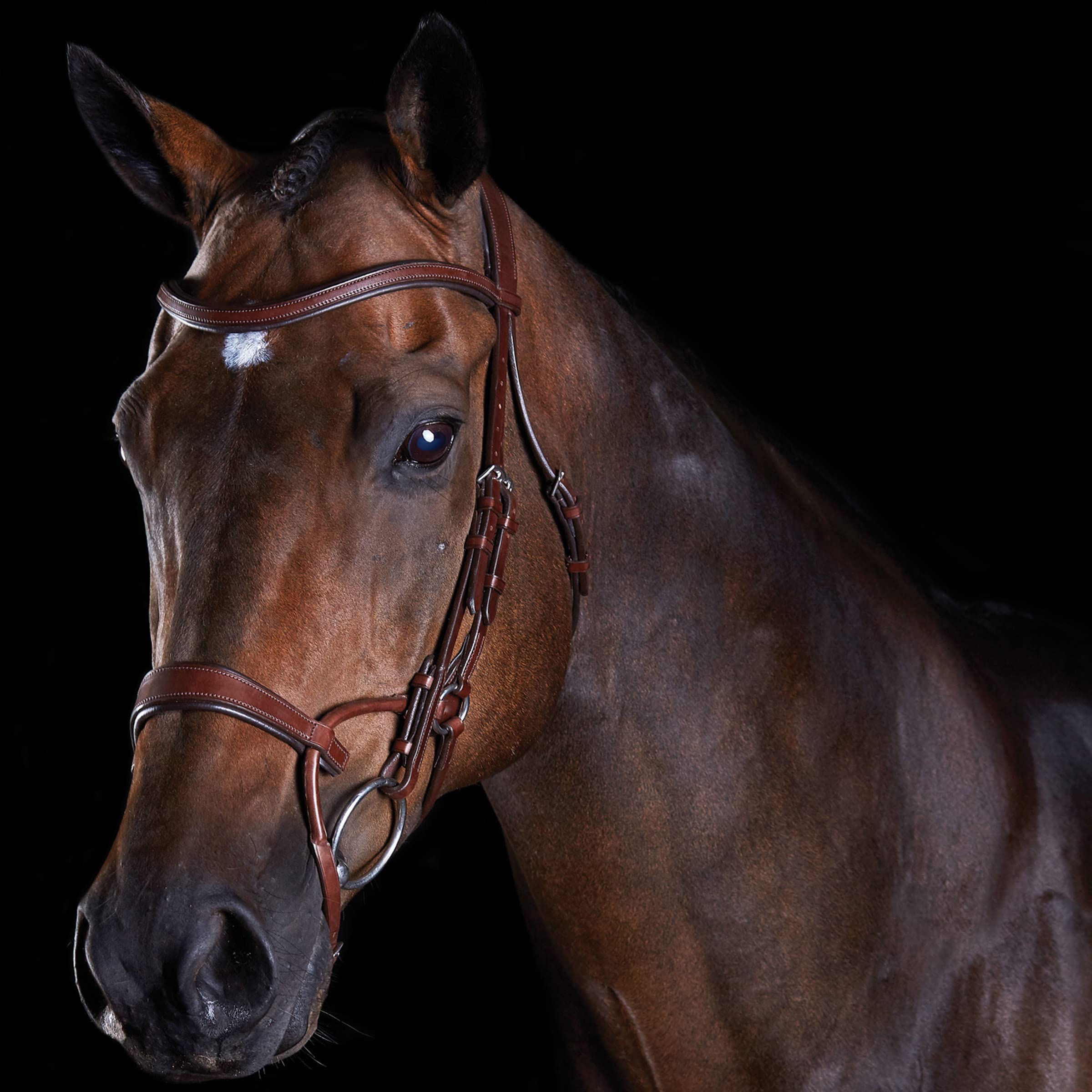 Collegiate ComFiTec Training Bridle, Brown, Warmblood