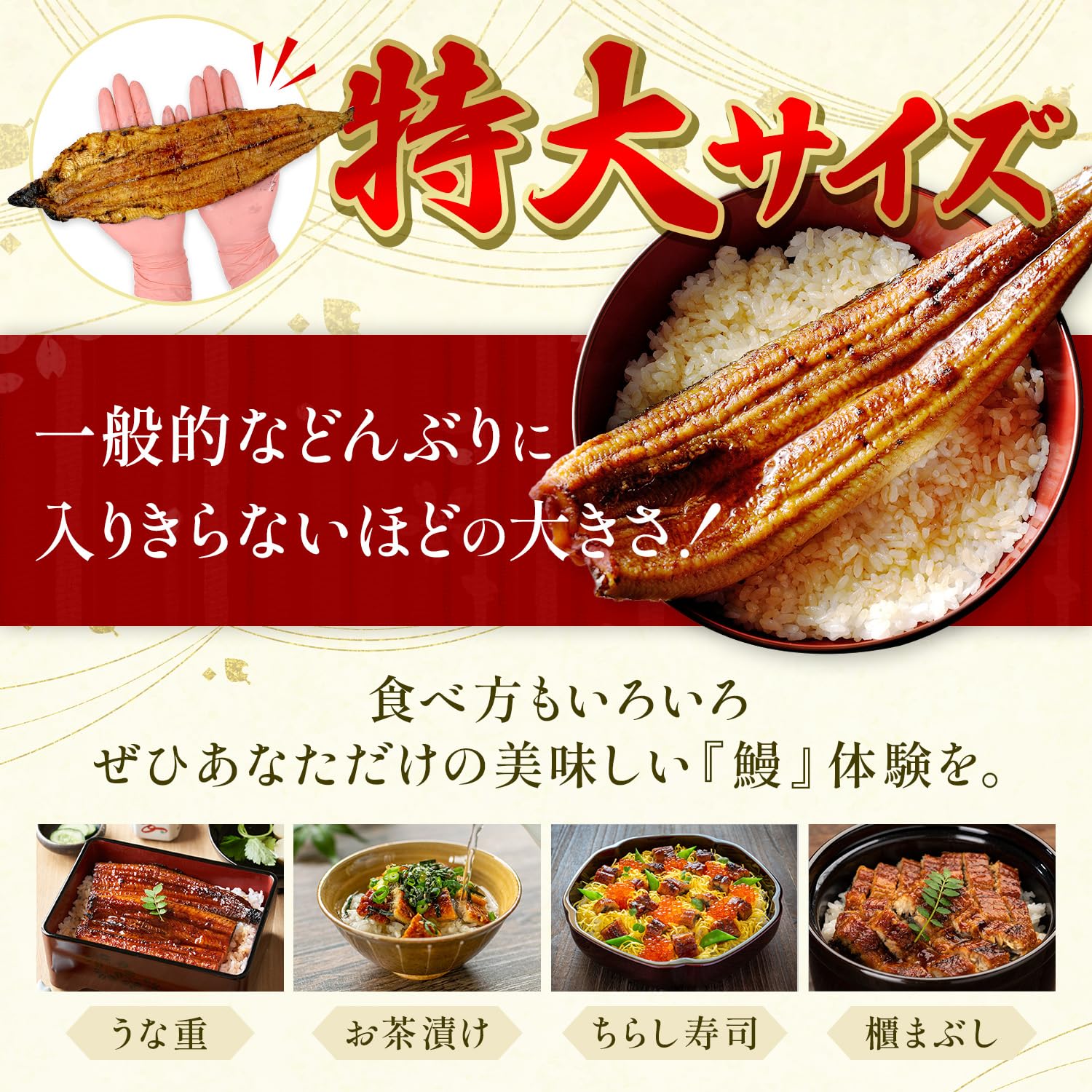 Amazon.co.jp: SETOUCHI OYSTER うなぎの蒲焼き 鹿児島県産 特大 360g