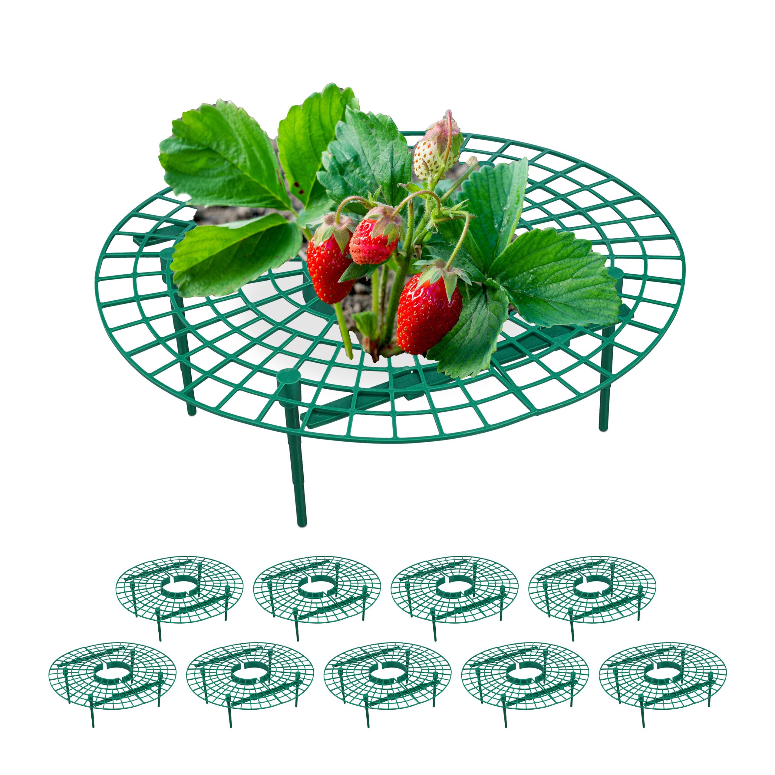 Relaxdays 10x Strawberry Gripper, Snail and Slug Protection, Plastic, Grid Against Rot & Mould, 10 x 30 x 30 cm, Green