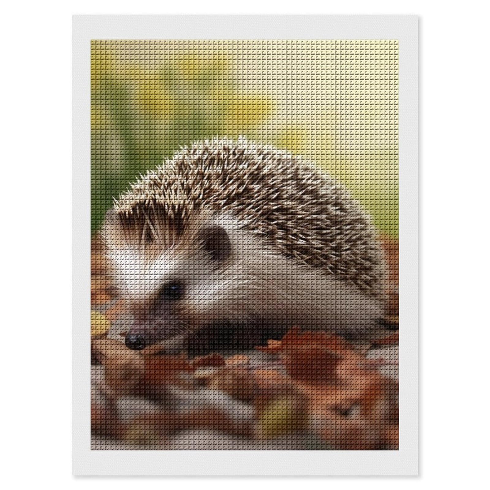 Hedgehog Diamond Art Kits for Adults, DIY 5D Diamonds Painting Kits for Beginner, Round Full Drill Diamond Dots Painting, 12"x16" Diamonds Pictures Gem Art and Crafts Wall Decor