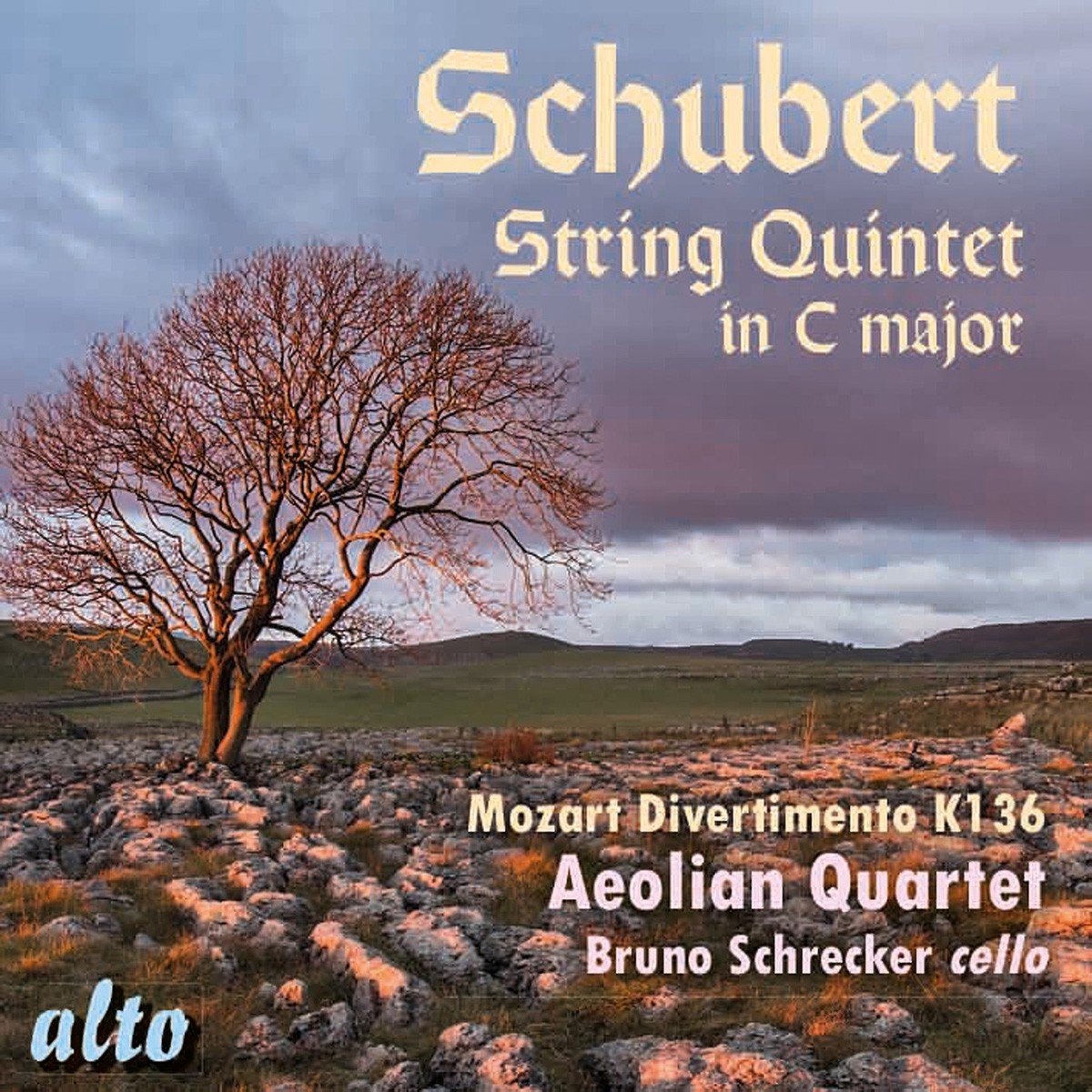 Schubert: String Quintet in C Major
