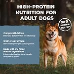 Blue Buffalo Wilderness High Protein Grain Free, Natural Adult Wet Dog Food, Beef & Chicken Grill 354G Cans (Pack of 12)
