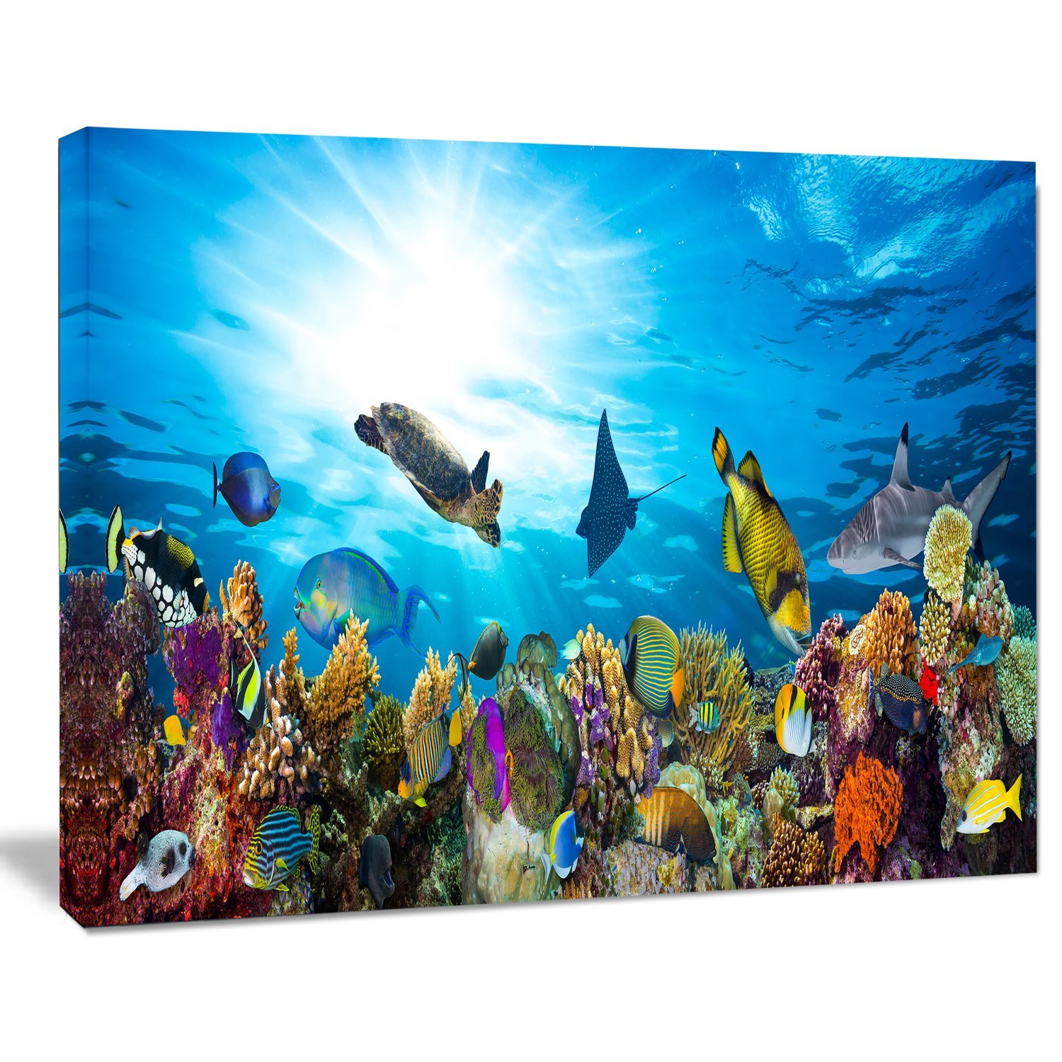 Impresión Artística En Lona De Peces Tropicales Y Arrecife De Coral – Cuadro Colgante De Alta Calidad (Panther Print)