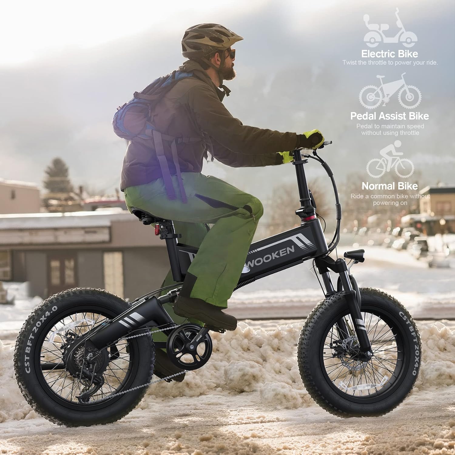 TotGuard Electric Bike,20" Electric Bike for Adults Peak 750W Brushless Motor,20MPH Fat Tire Ebike,Foldable Adult Electric Bicycles with 48V 10Ah Removable Battery,7-Speed,SGS Certified to UL 2849