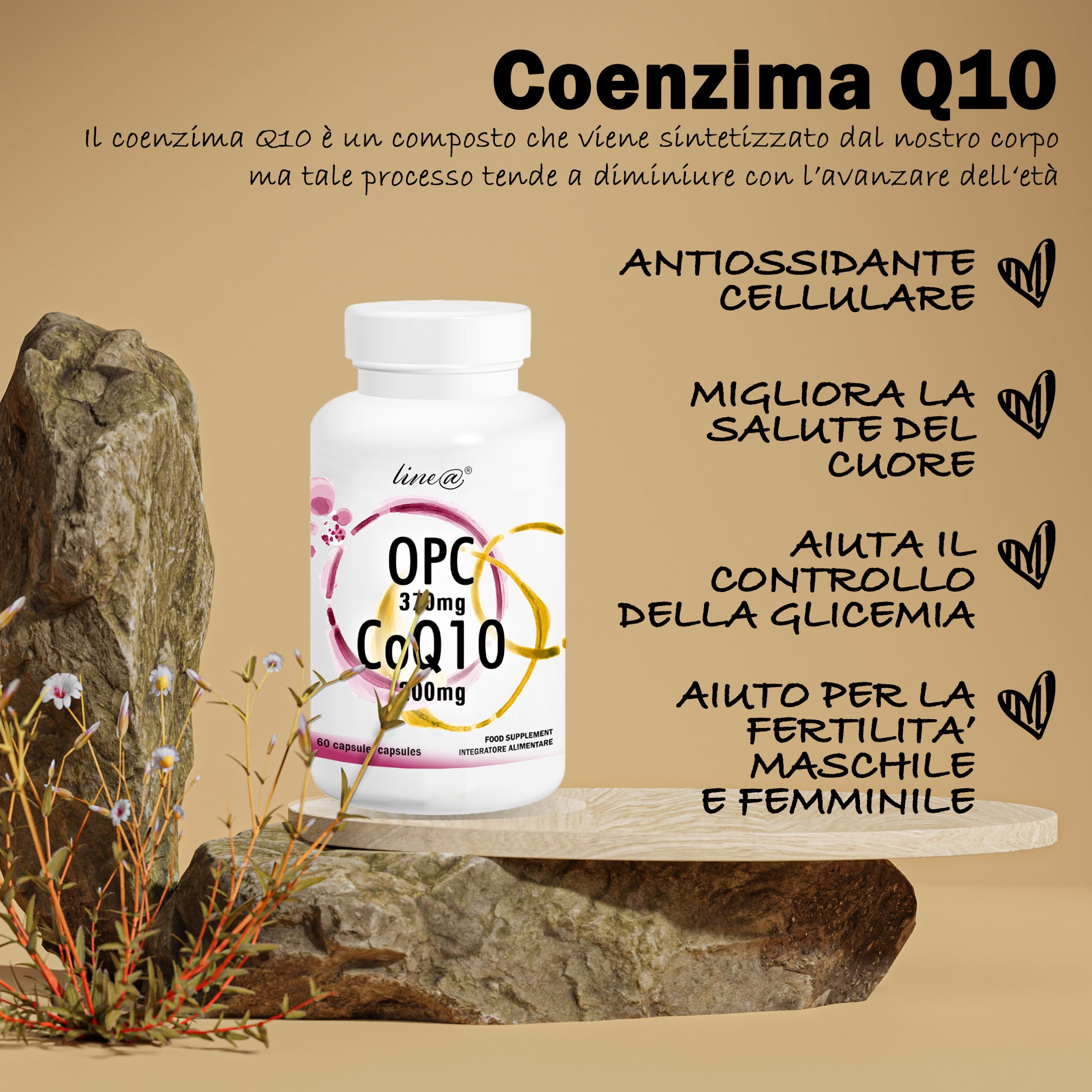 OPC e CoQ10 Line@ | Potente ANTIOSSIDANTE 2 in 1 | E.s. di VITE ROSSA 370mg e COENZIMA Q10 200mg | 60 capsule | 2 MESI