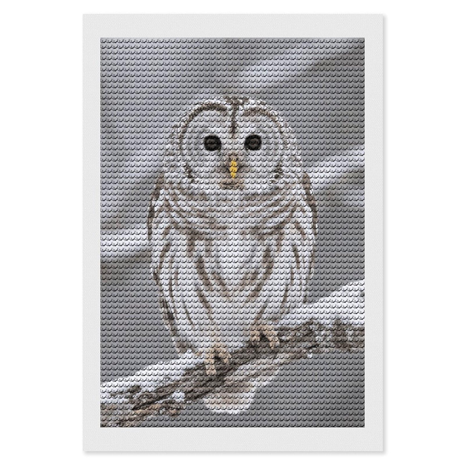FodPand Curious Barred Owl Closeup 5D Diamond Painting Kits for Adults Beginners Full Drill Round Diamond Dots Pictures Gem Art Supplies for Home Wall Room Decoration DIY Craft Set Gift 8x12
