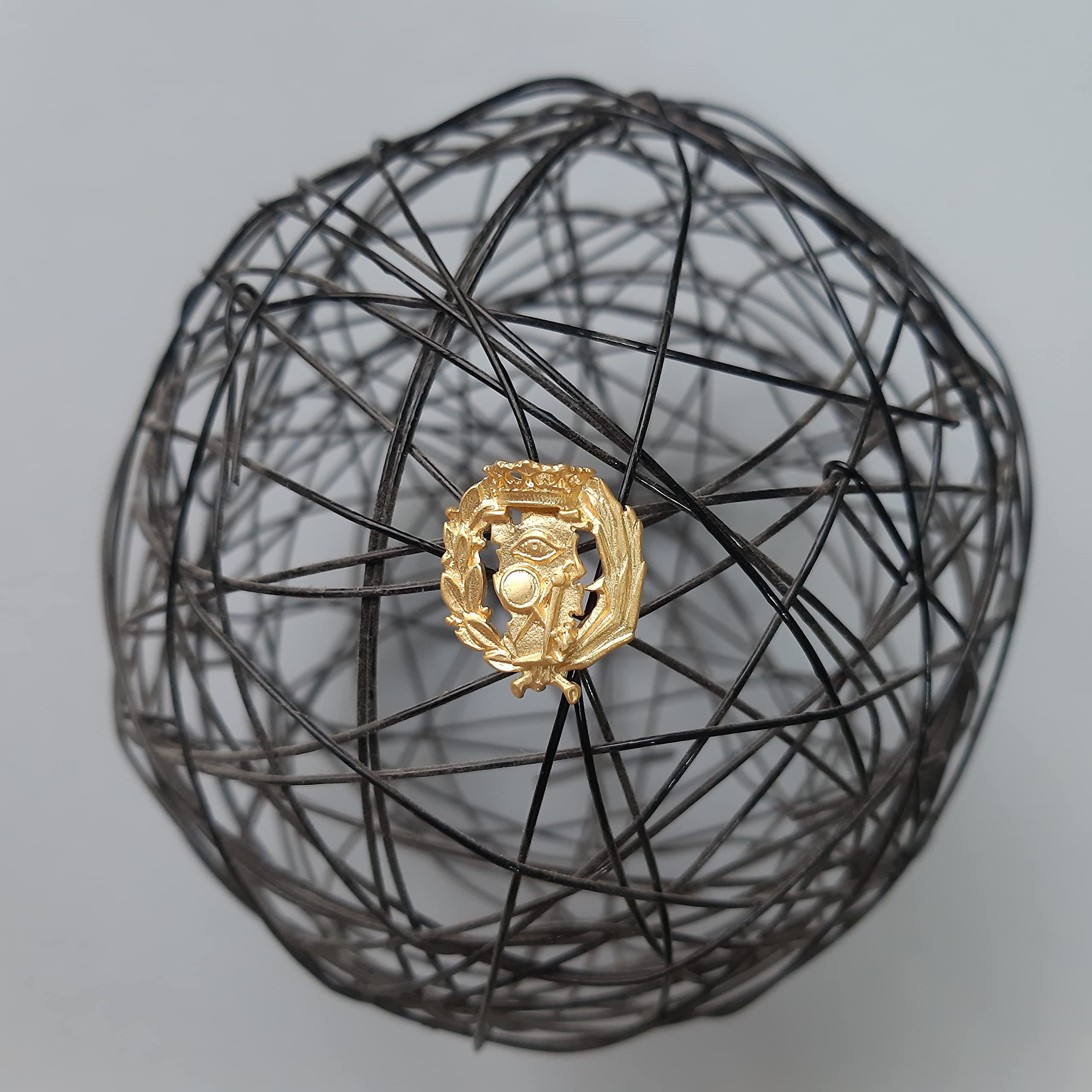 Insignia Profesional de Ciencias Exactas Pin para Hombre Mujer en Plata 925 Chapado en Oro con Estuche para Regalo