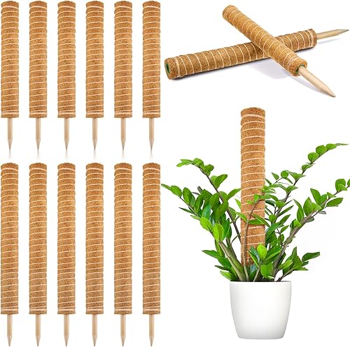 12 piezas de poste de musgo para plantas Monstera de 15.8 y 19.7 pulgadas, estacas para plantas Monstera tótem de fibra de coco extensible, postes