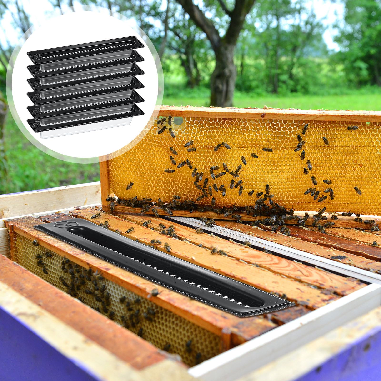 Qualirey Lot de 50 petits pièges à coléoptère en plastique pour ruches, outils d'apiculture, fournitures d'apiculture, contrôle des coléoptères
