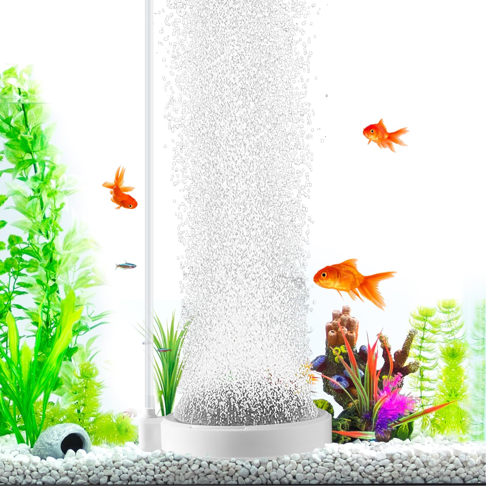 BLOTFISH Aquarium air Stones, 2 Inch Nano Fish Tank Bubbler, High Dissolved Oxygen Air Diffuser Aerator for Air Pump Fish Tank Small Bucket and Hydroponics