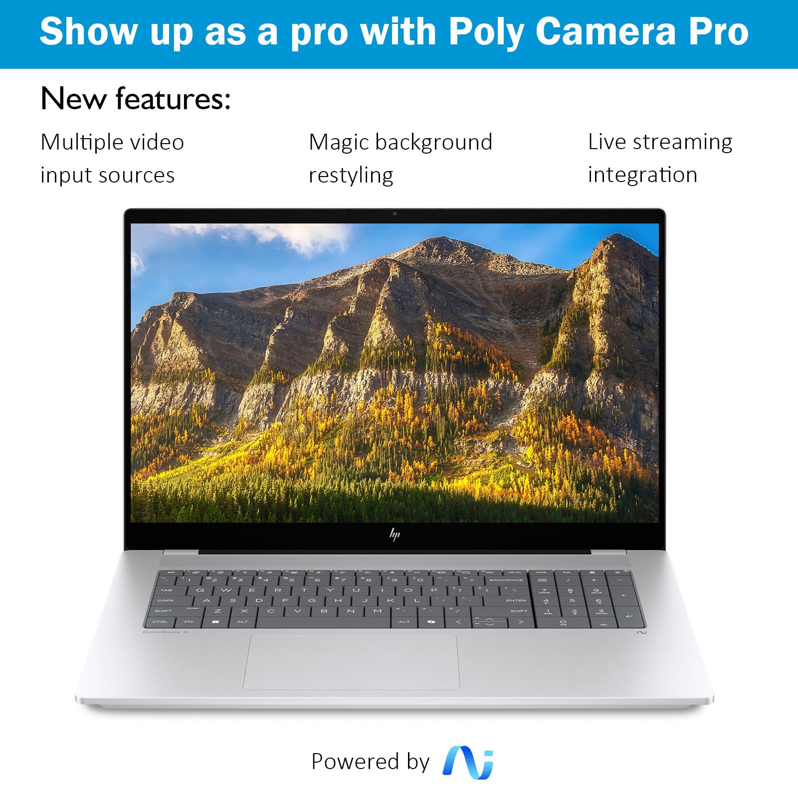 Amazon.com: HP OmniBook X NGAI 17, 17.3