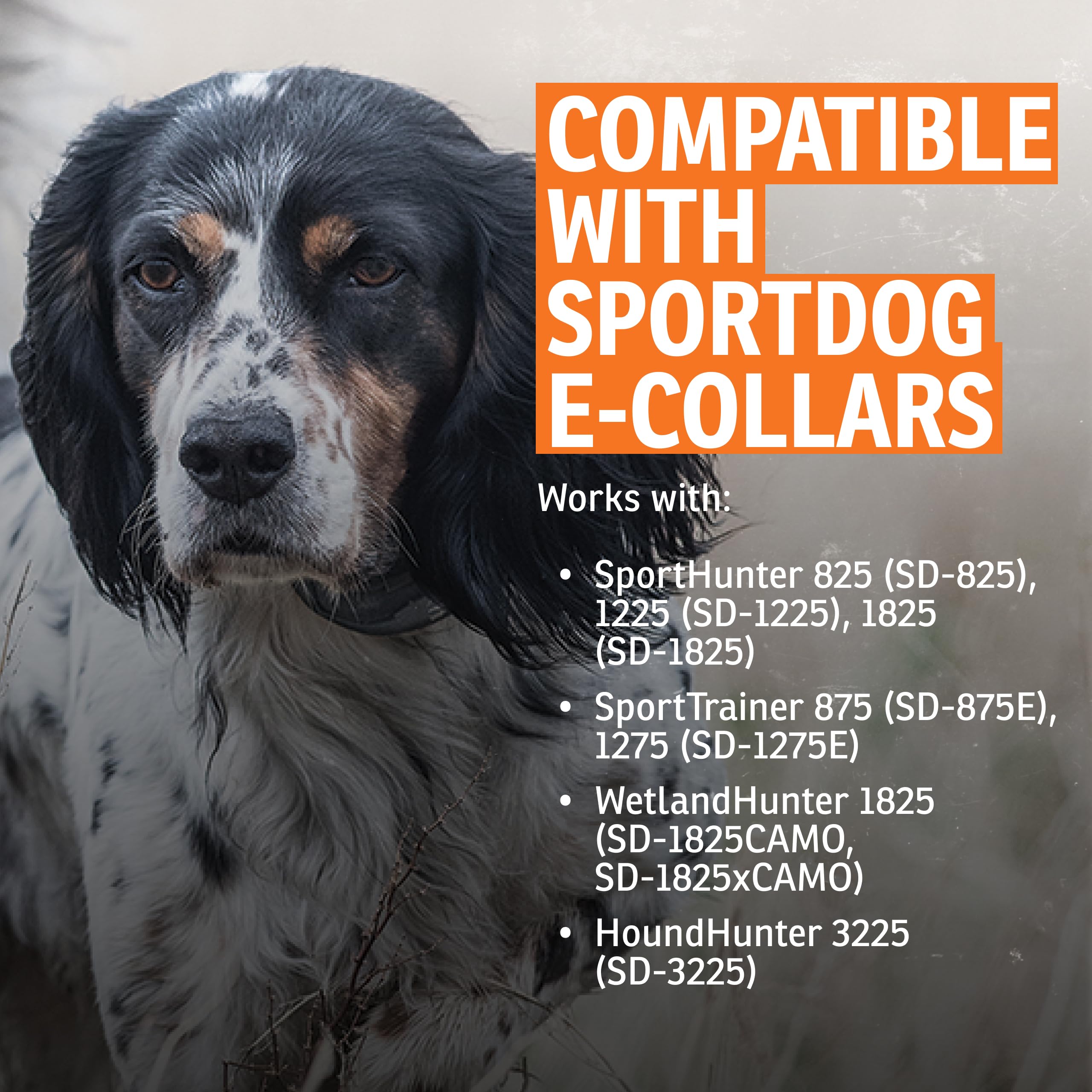 SportDOG Brand Ersatzantenne für E-Collar-Modelle – SD-800, SD-825, SD-1225, SD-1825, SD-1825CAMO und SD-3225
