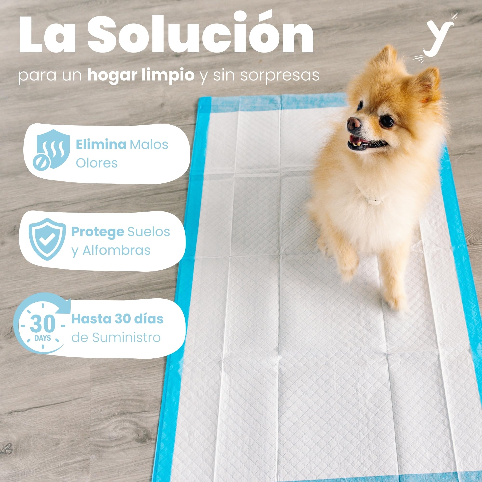 Empapadores Perro 60x90 cm XL, Alta Absorción, 120 Uds | Tecnología de 6 capas · Antifugas · Control de olores hasta 12 h · Ideal para cachorros, incontinencia y recuperación