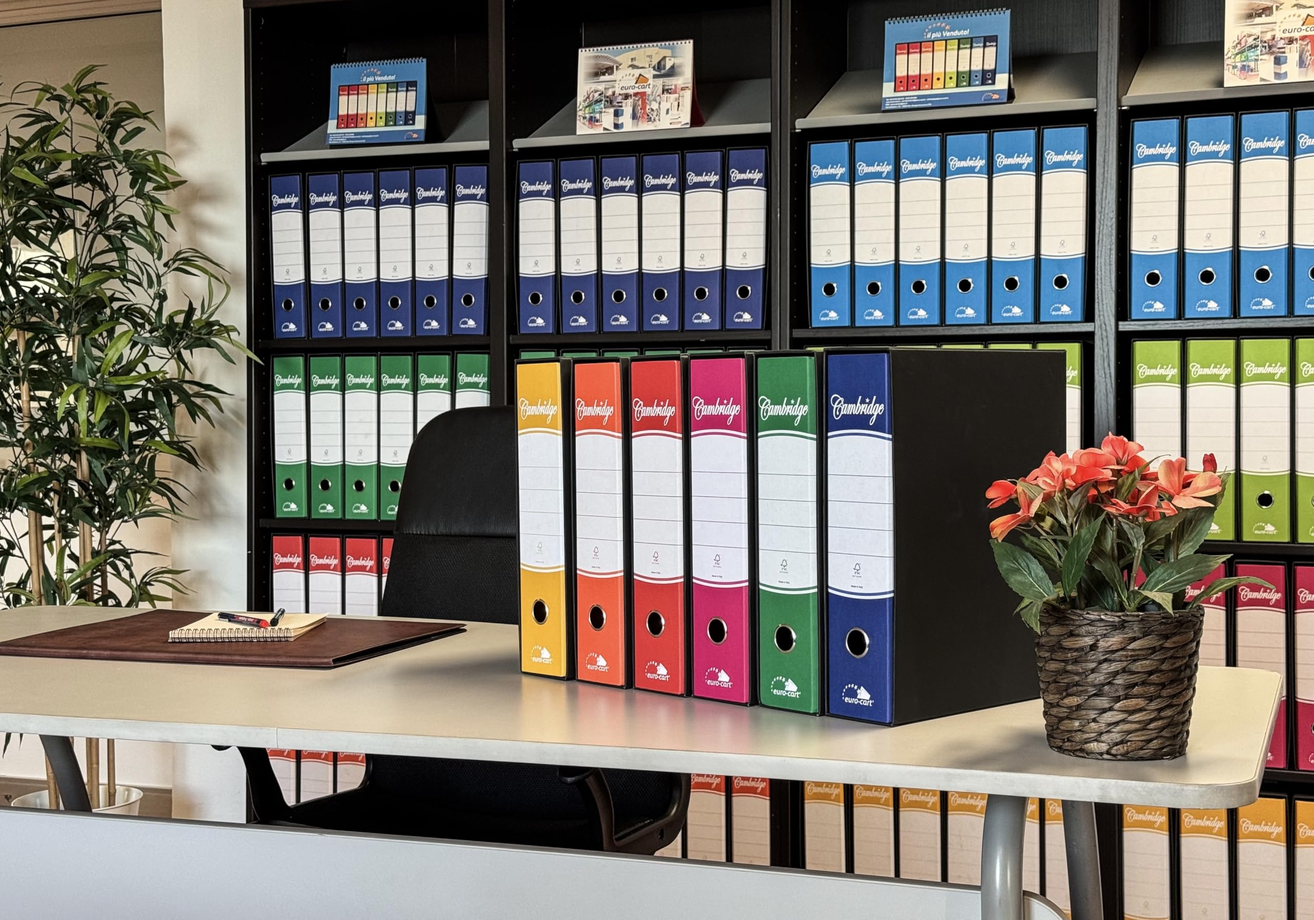 Euro-Cart Ordner mit Hülle, 6 Stück, 8 cm Rücken, A4 Ringordner, Aktenordner für Büro und Akten, gemischte Farben