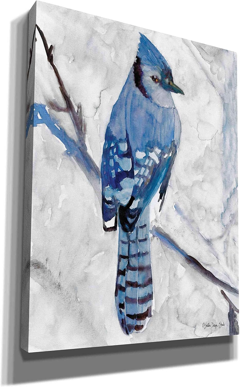 Epic Graffiti 'Blue Jay 1' by Stellar Design Studio, Canvas Wall Art, 12"x16"
