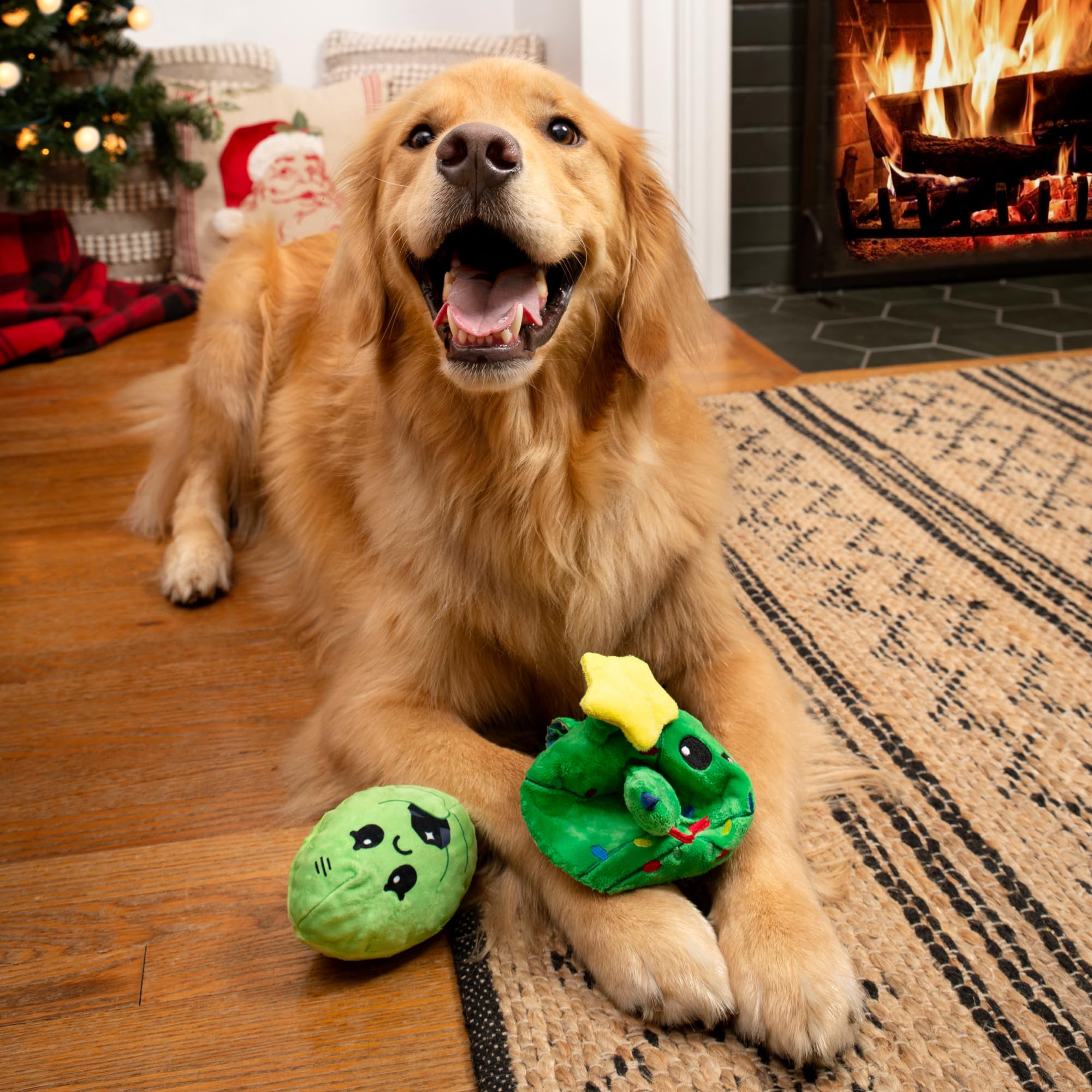 Pet Supplies : Barkbox Consuela The Christmas Cactus Dog Toy  Plush Rip &  Reveal Holiday Toy with Whip-N-Flip Arms, Fluffy Stuffing & Hidden Spiky  Ball Squeaker  Festive Play for Large
