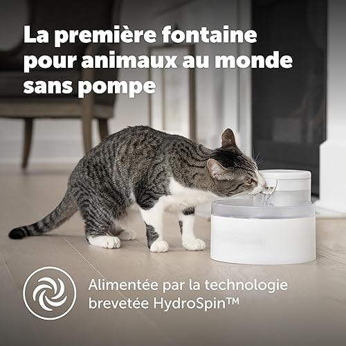 Miniatura 2 de PetSafe Outlast - Fuente de agua para gatos sin bombeo de 60 oz1.7 litros, dispensador de agua interior para gatos, apto para lavavajillas, fácil