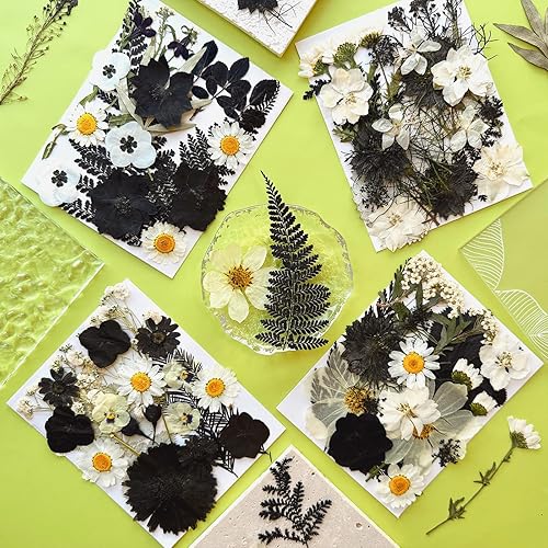Miniatura 3 de 90 piezas de flores secas prensadas negras para moldes de resina, hojas florales secas a granel naturales reales para manualidades de arte, joyas