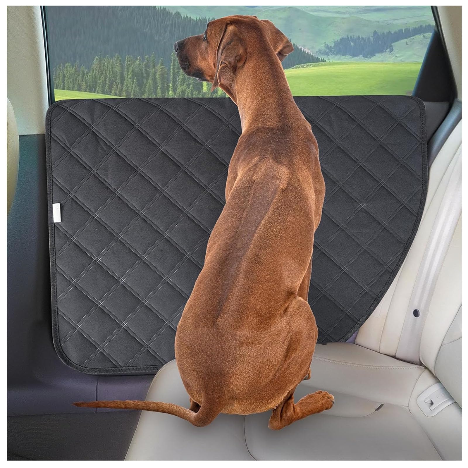 FVVWVRCSX Dog Car Door Protector, for VW T ROC T ROC 2015-2023 2024 2025 2026 Pet Car Door Guard Waterproof Scuff Shield Dogs Interior Anti-Scratch Side Door Cover