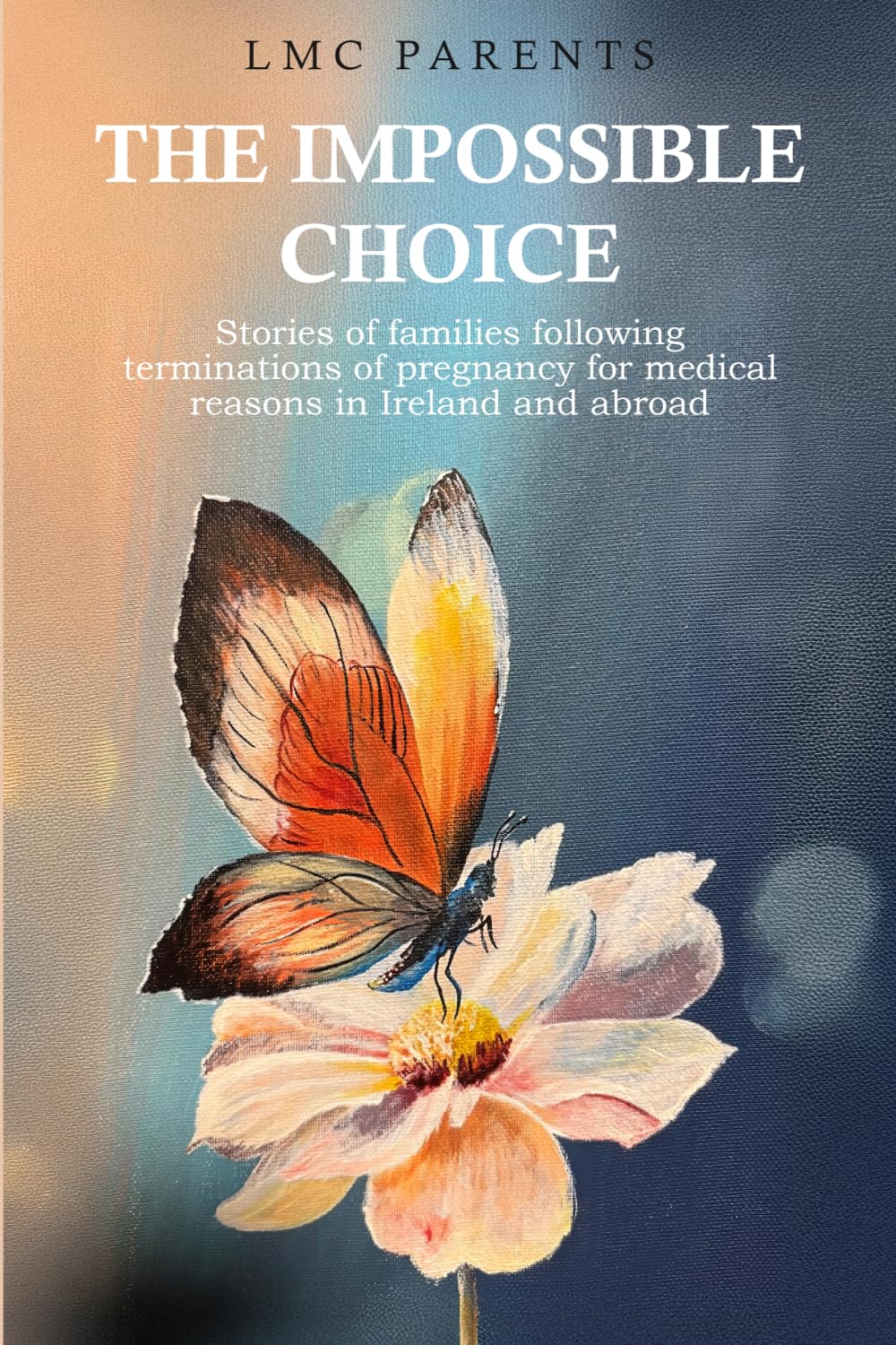 The Impossible Choice: Stories of families following terminations of pregnancy for medical reasons in Ireland and abroad
