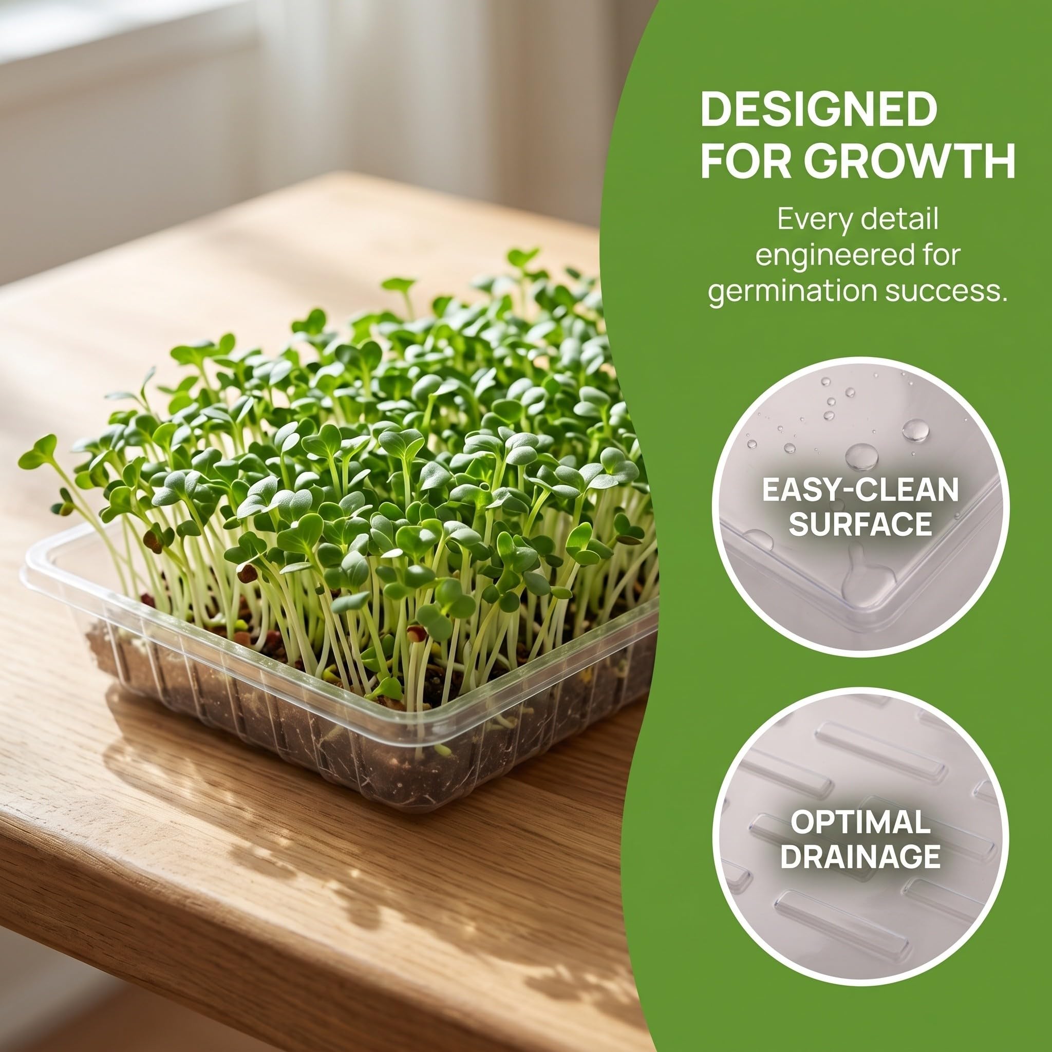 Lurrose 5 bandejas para semilleros, bandejas de propagación de Plantas de 1 | Bandeja de plástico para germinación y propagación de semillas para jardín, plantación, plántulas, tierra y horticultura hidr