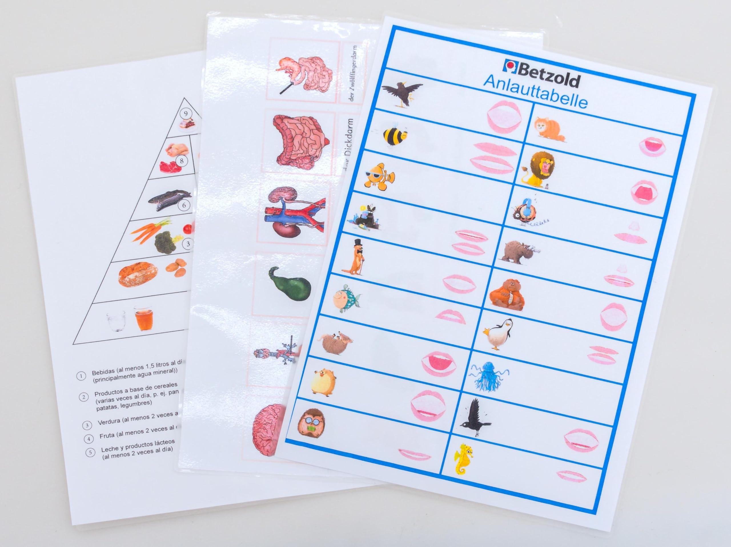 Ottieni Buste Di Laminazione Personalizzate Dal Produttore Di - Foto 2